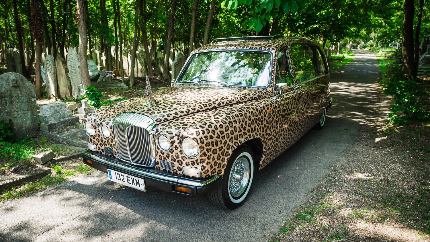 Leopard-print Daimler hearse on a tree-lined cemetery road