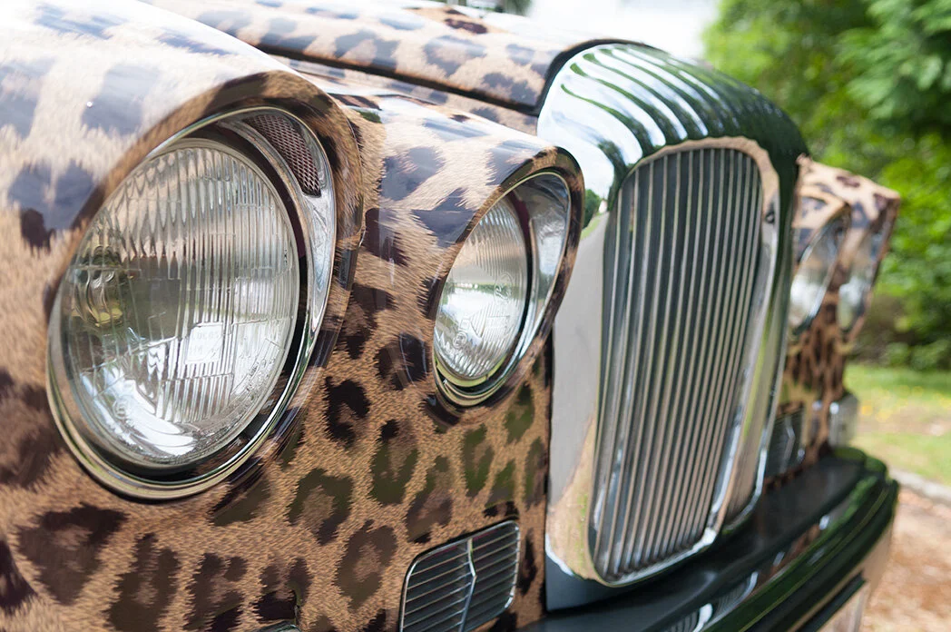 Leopard-print bodywork and chrome headlights on the Daimler hearse