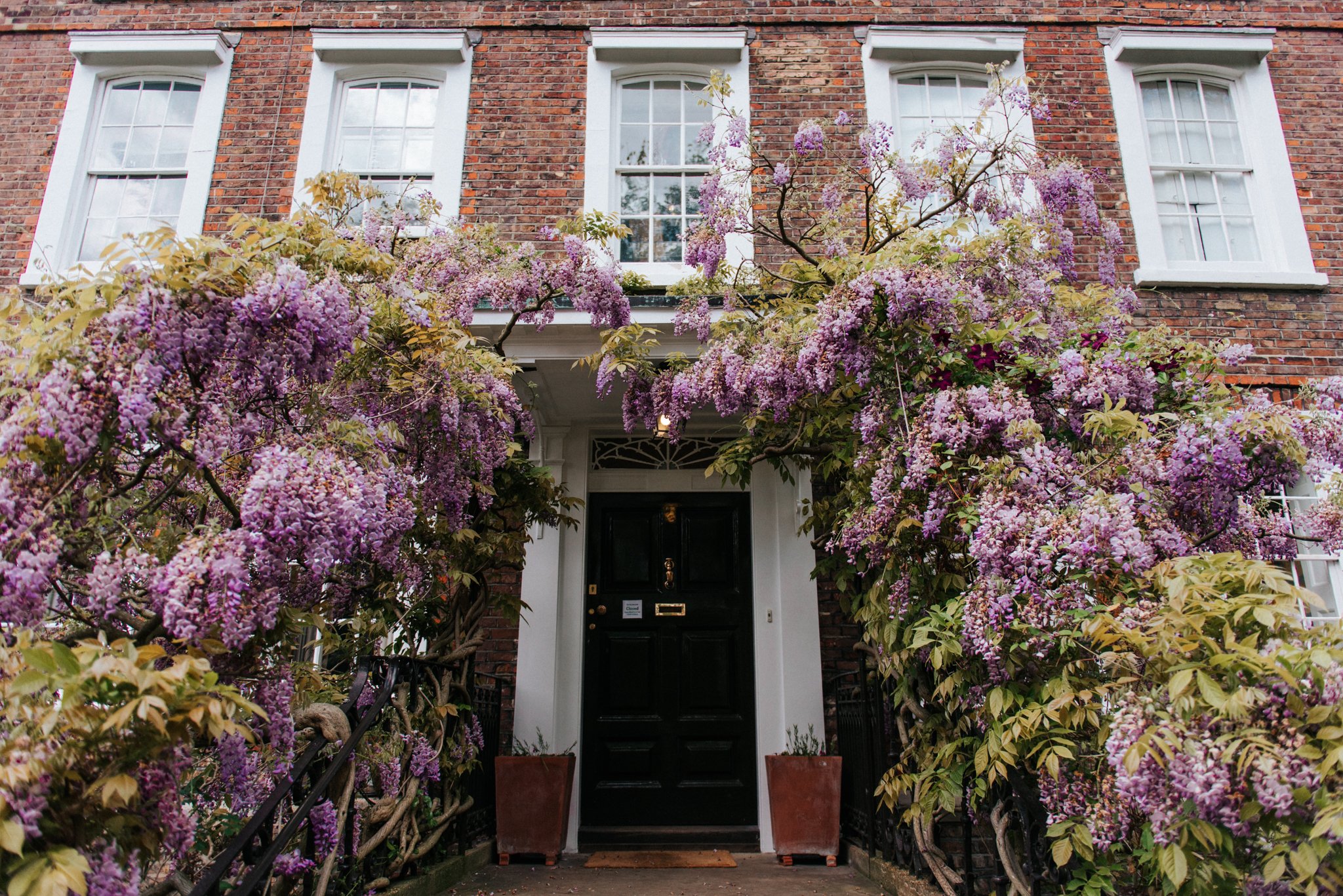 Burgh House in Hampstead
