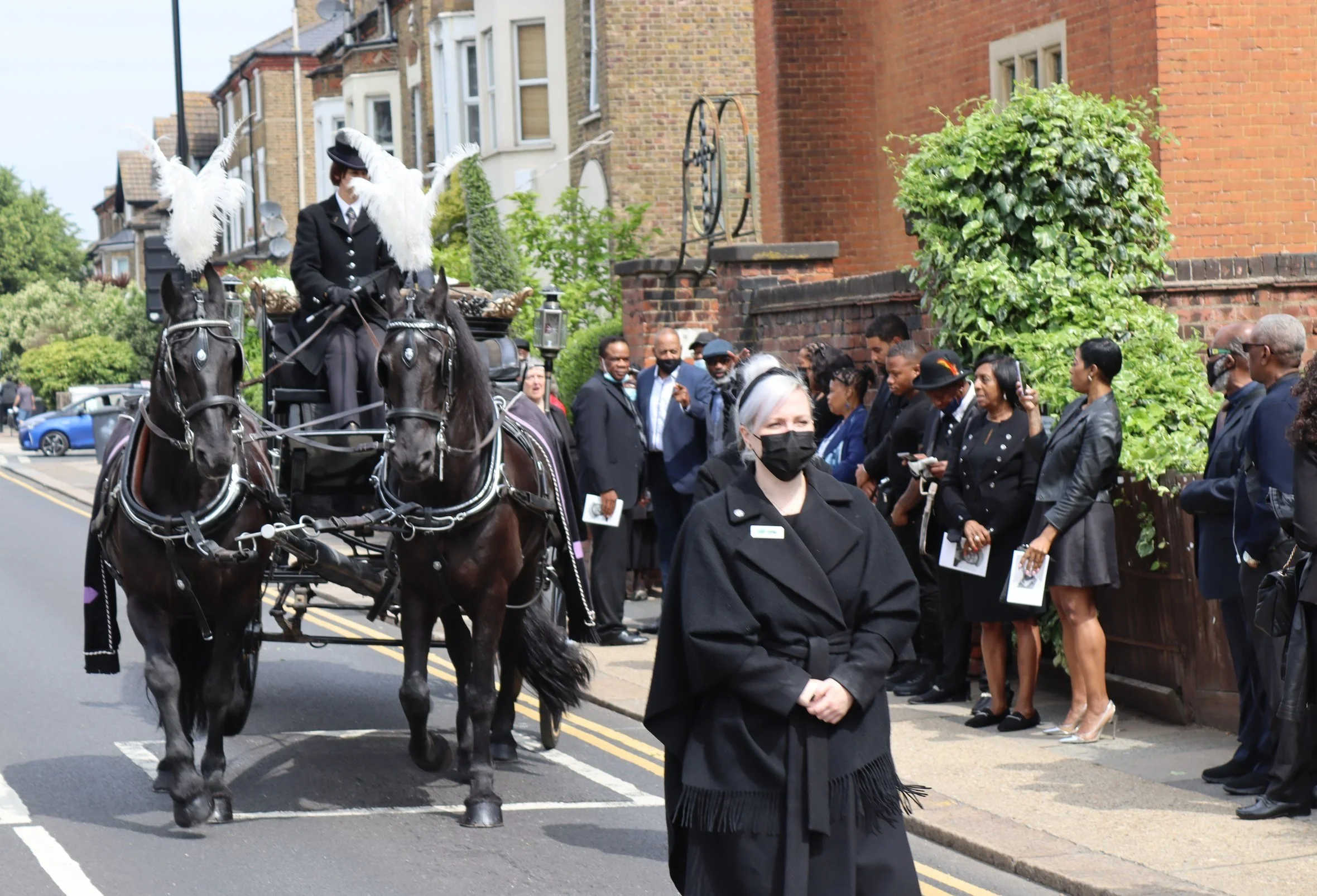 Two Traditional Funeral Horses & Carriage