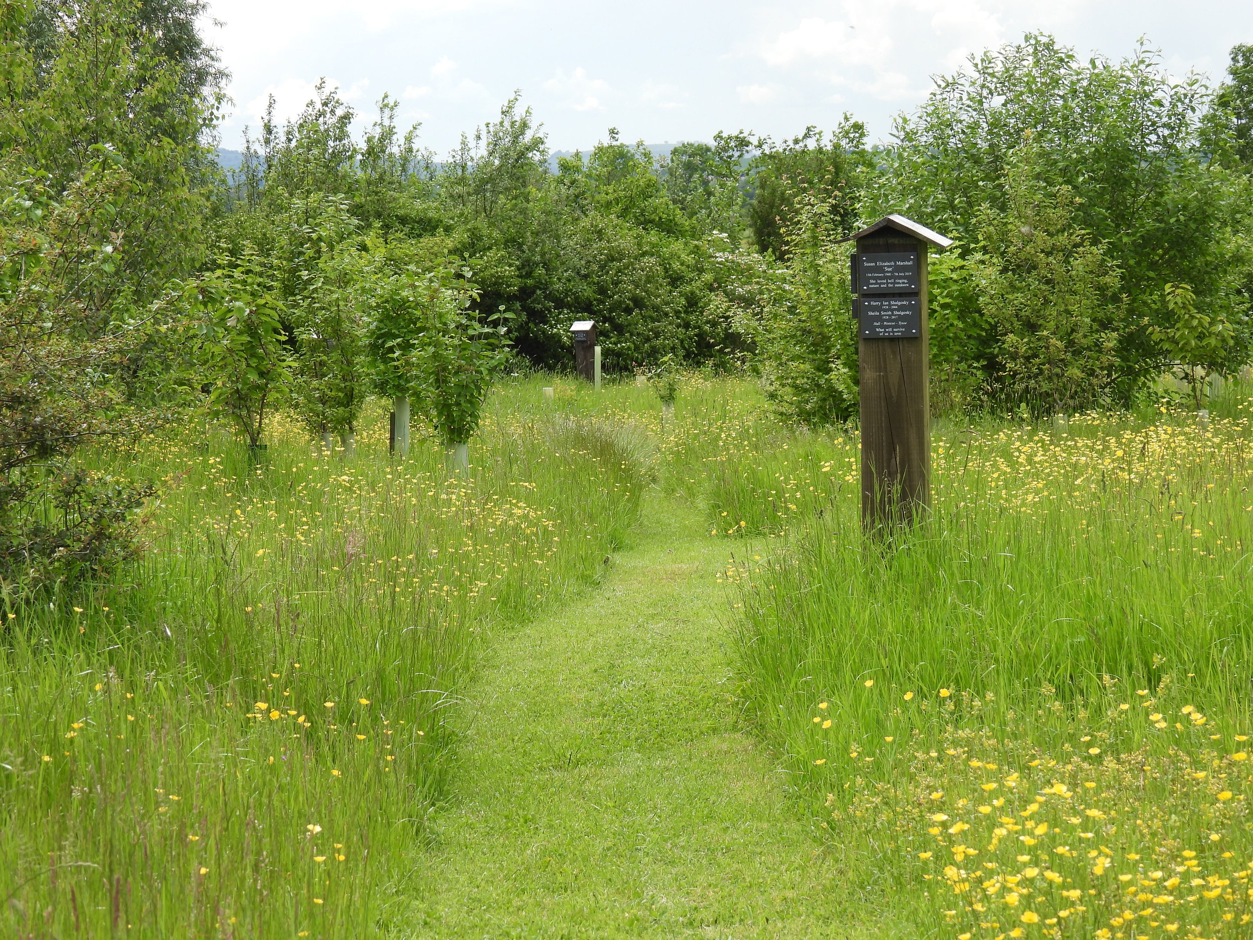 Sun Rising Natural Burial Ground and Nature Reserve, South Warwickshire
