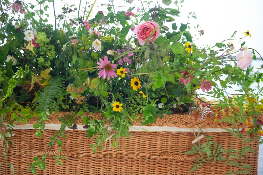Photograph from the Horniman Pavilion and Gardens