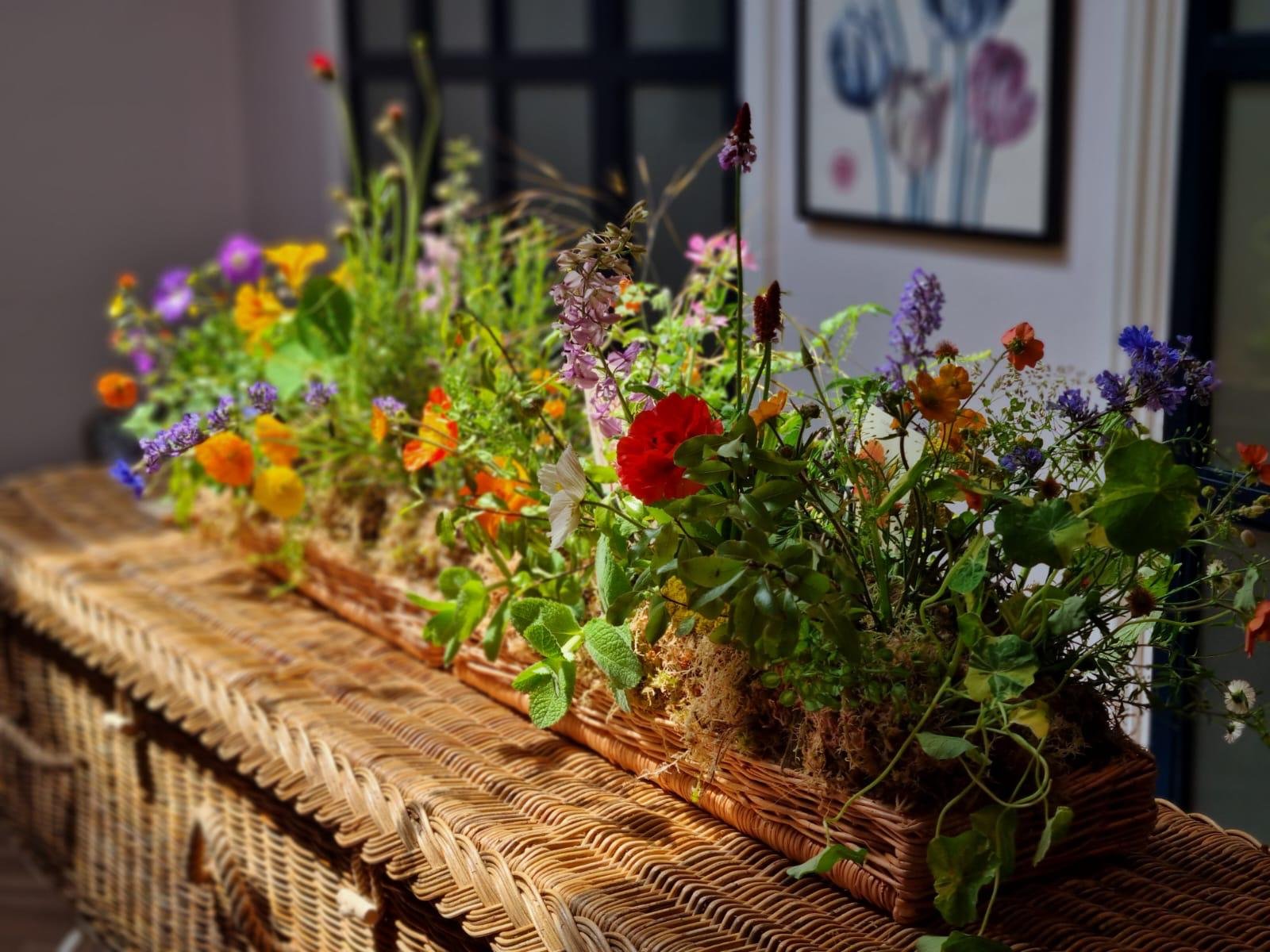 Wild, colourful flowers arranged in a low coffin spray