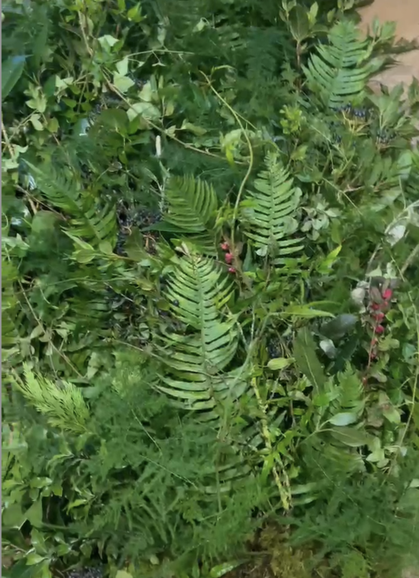 Close-up of foliage used for a floral coffin blanket
