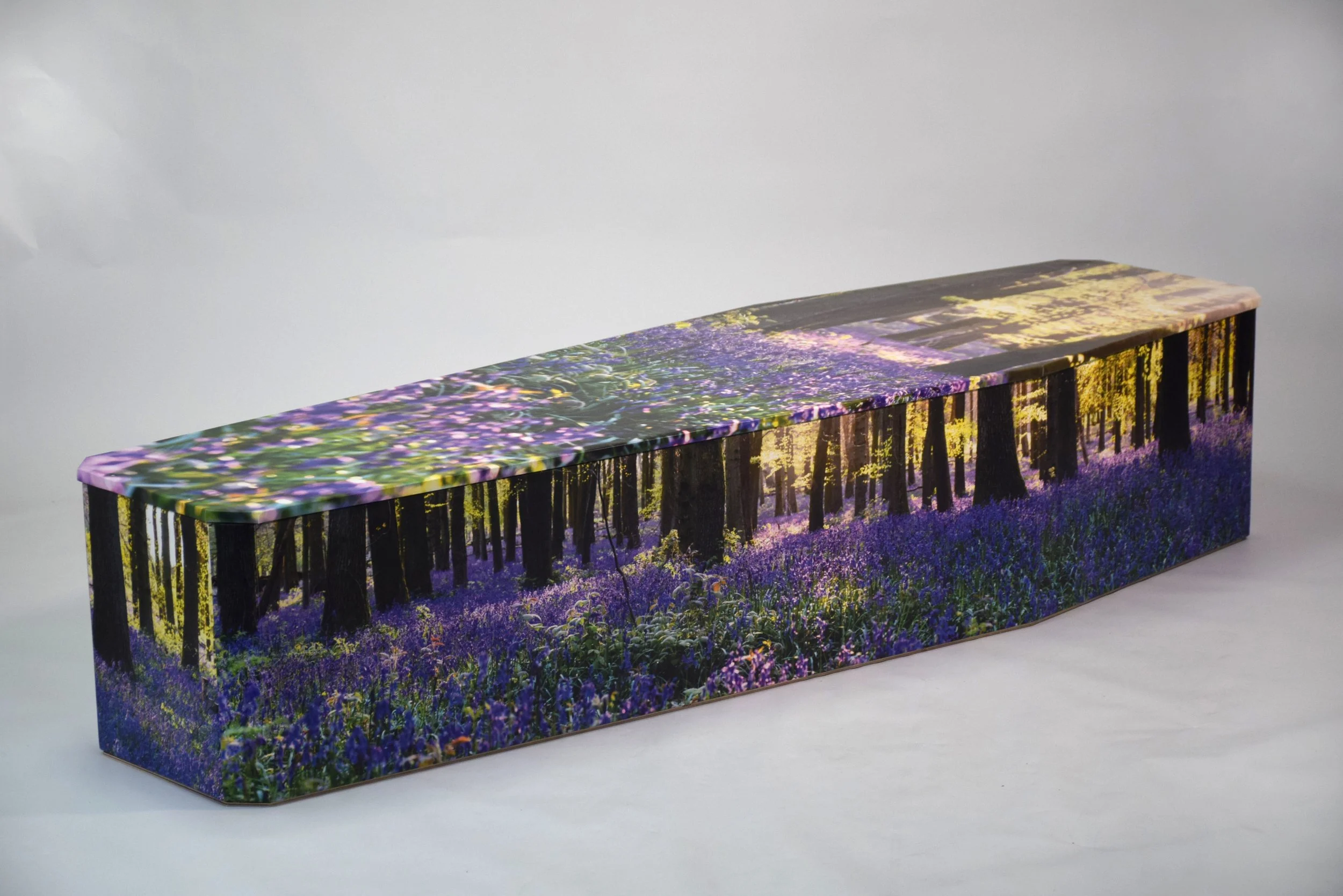 Bluebell