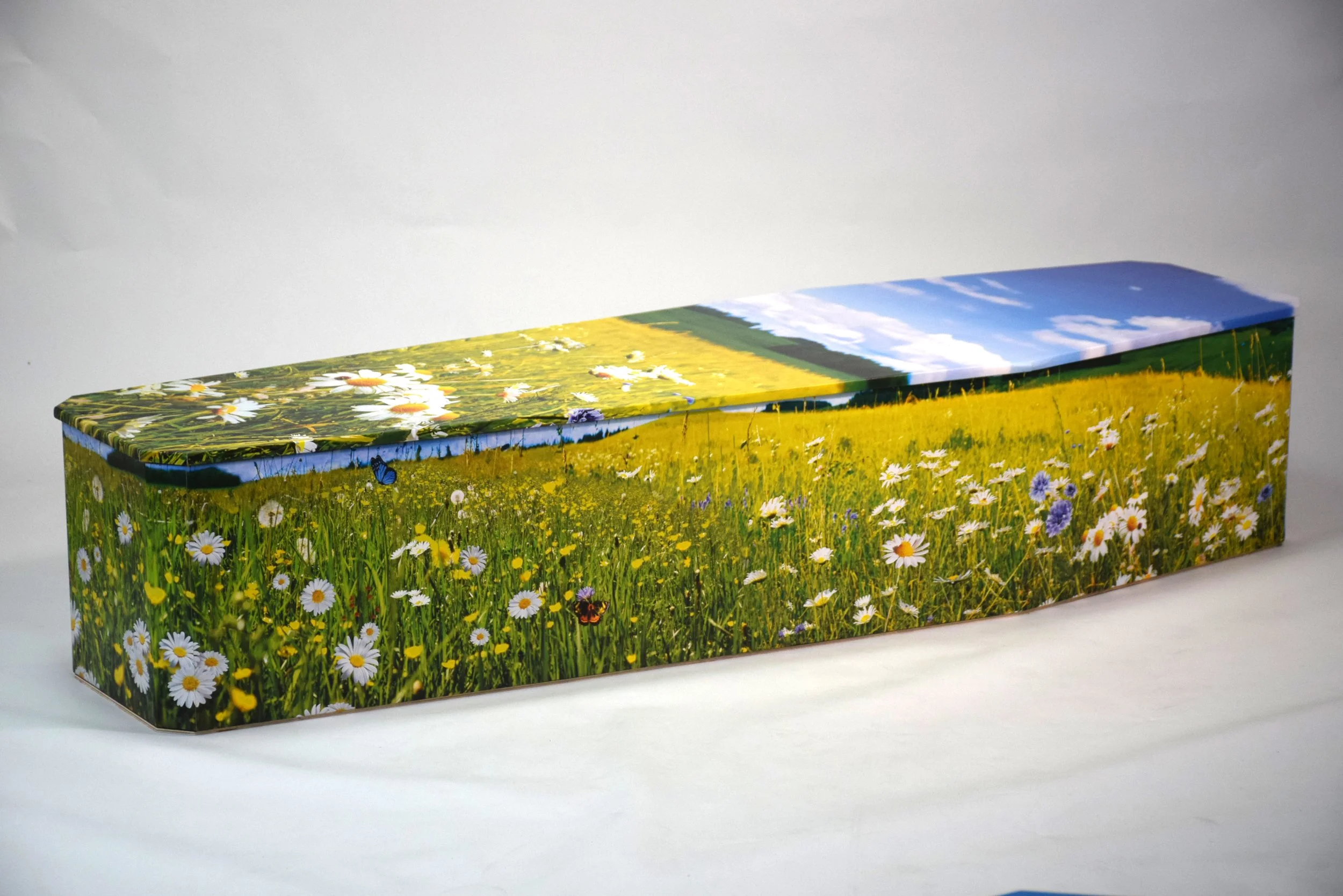 Meadow