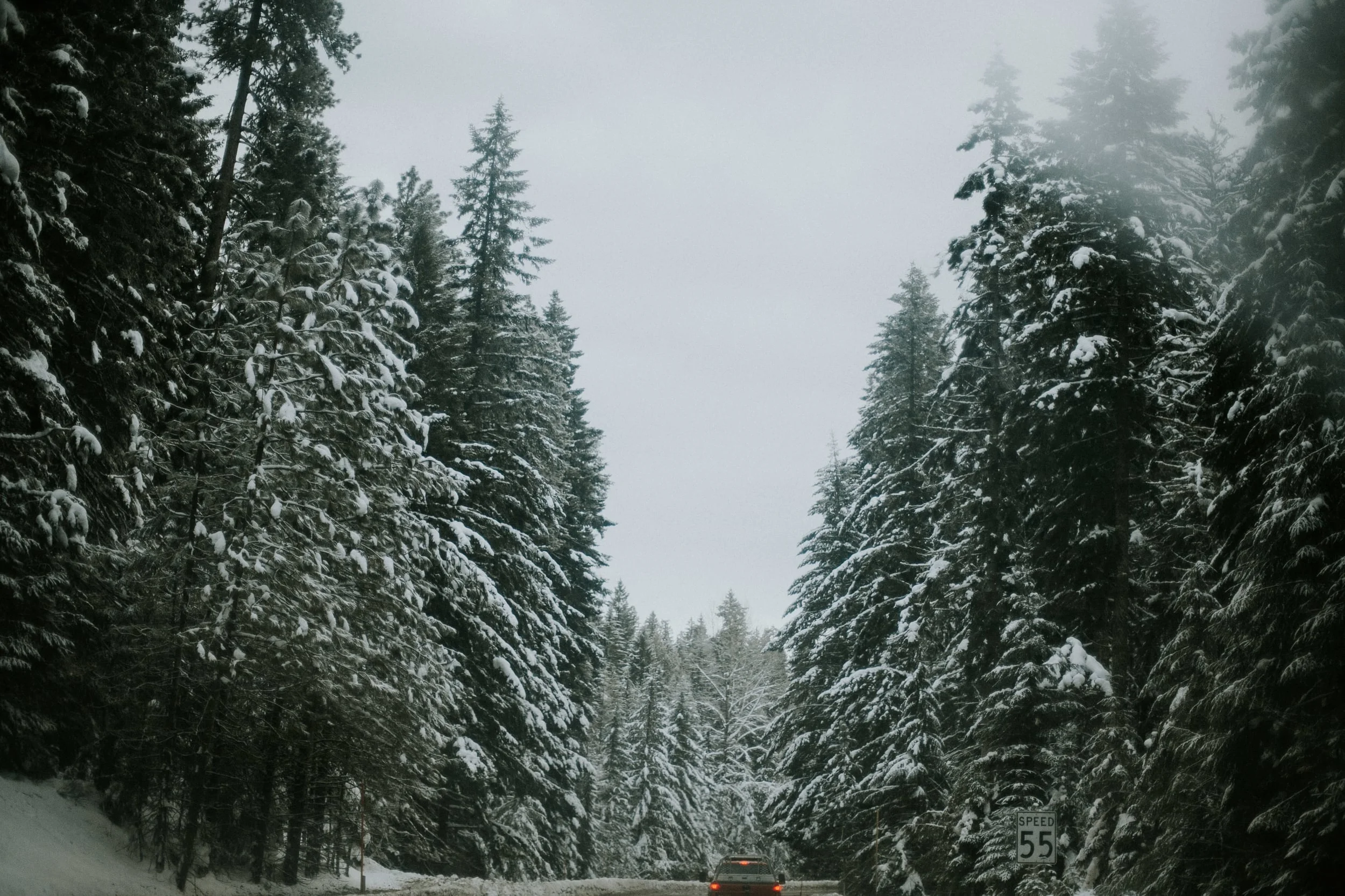 hills-54.jpg