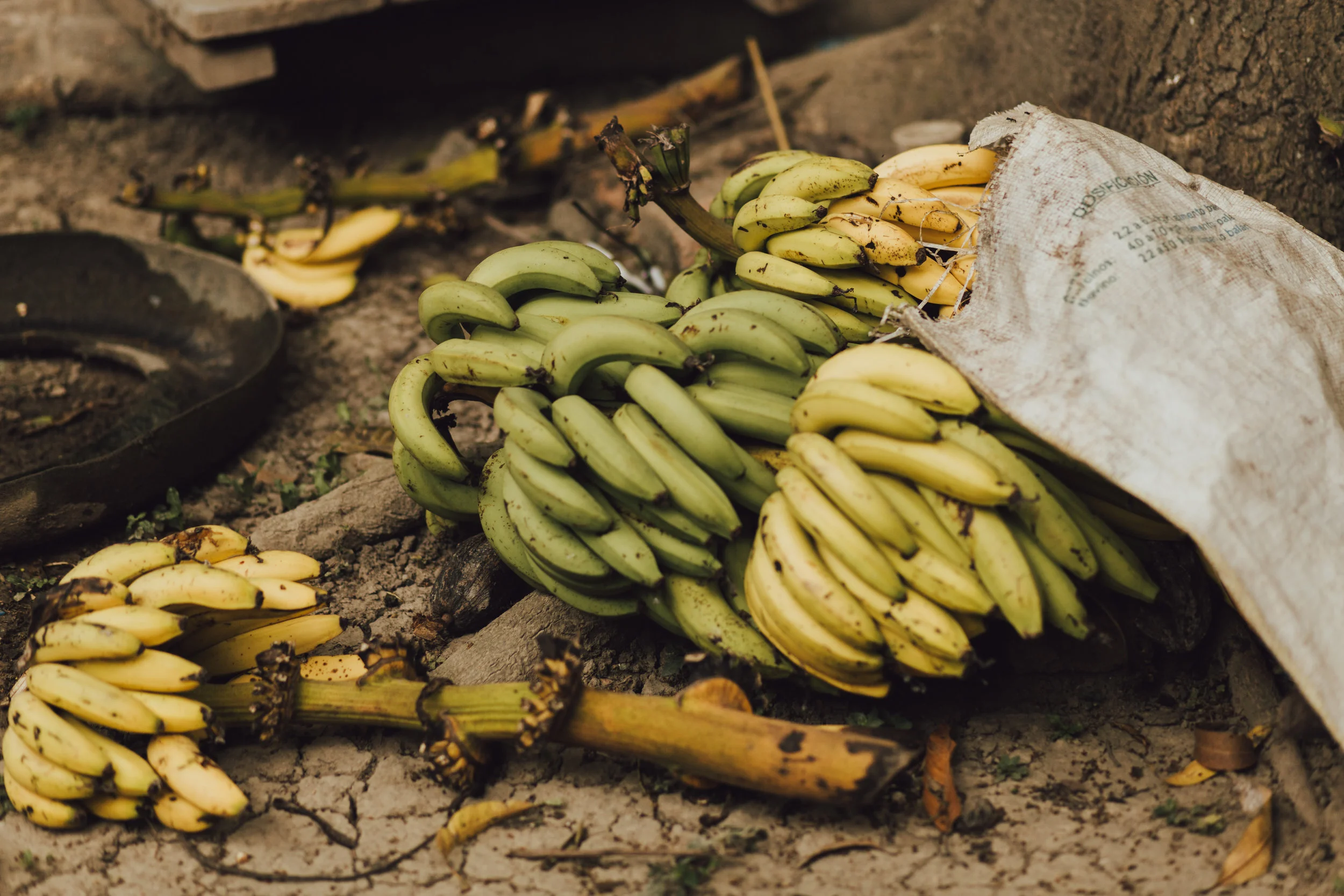 snl-ecuador-fairtrade-22.jpg