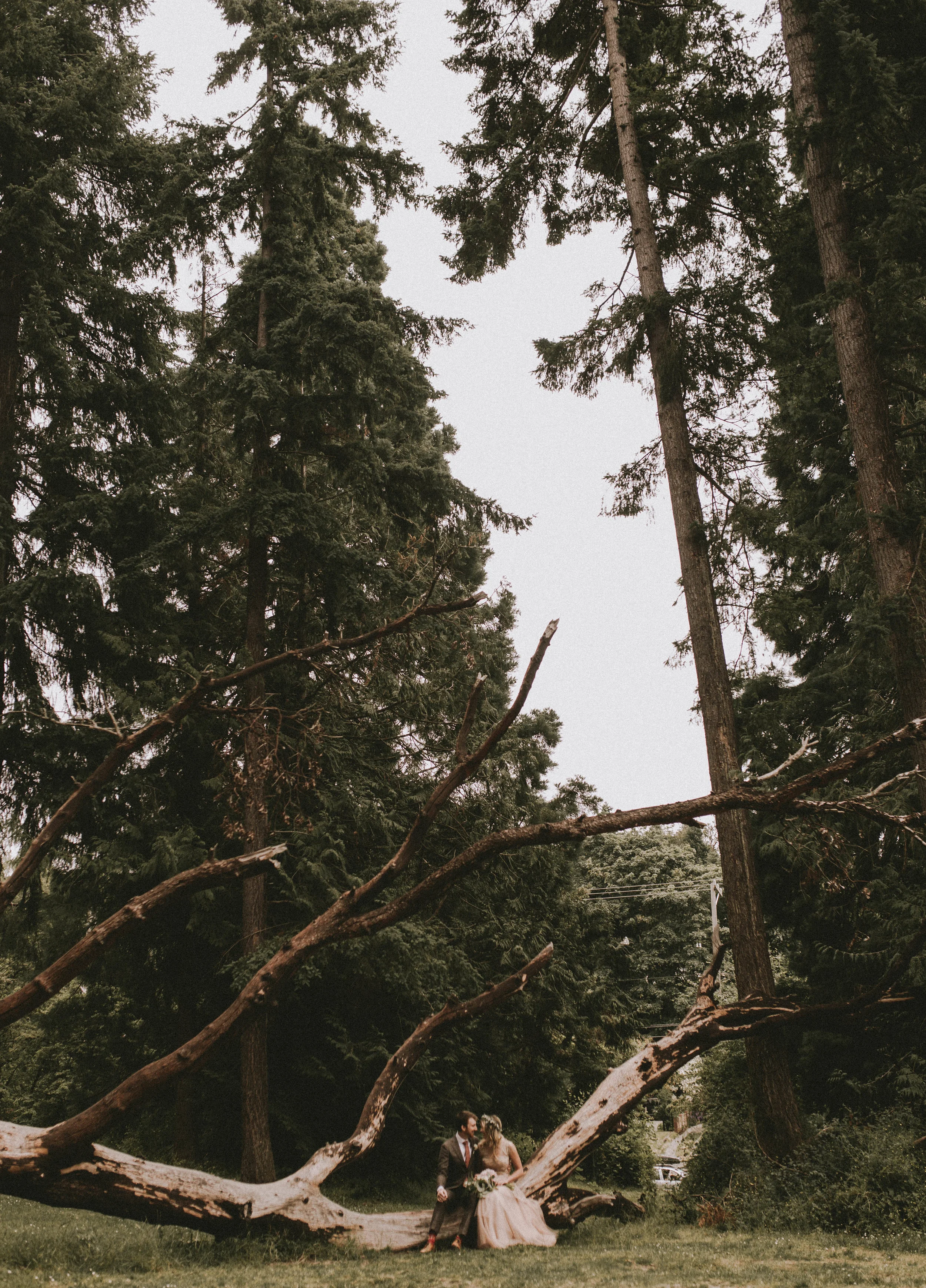 samlandreth-seattle.wedding-182.jpg
