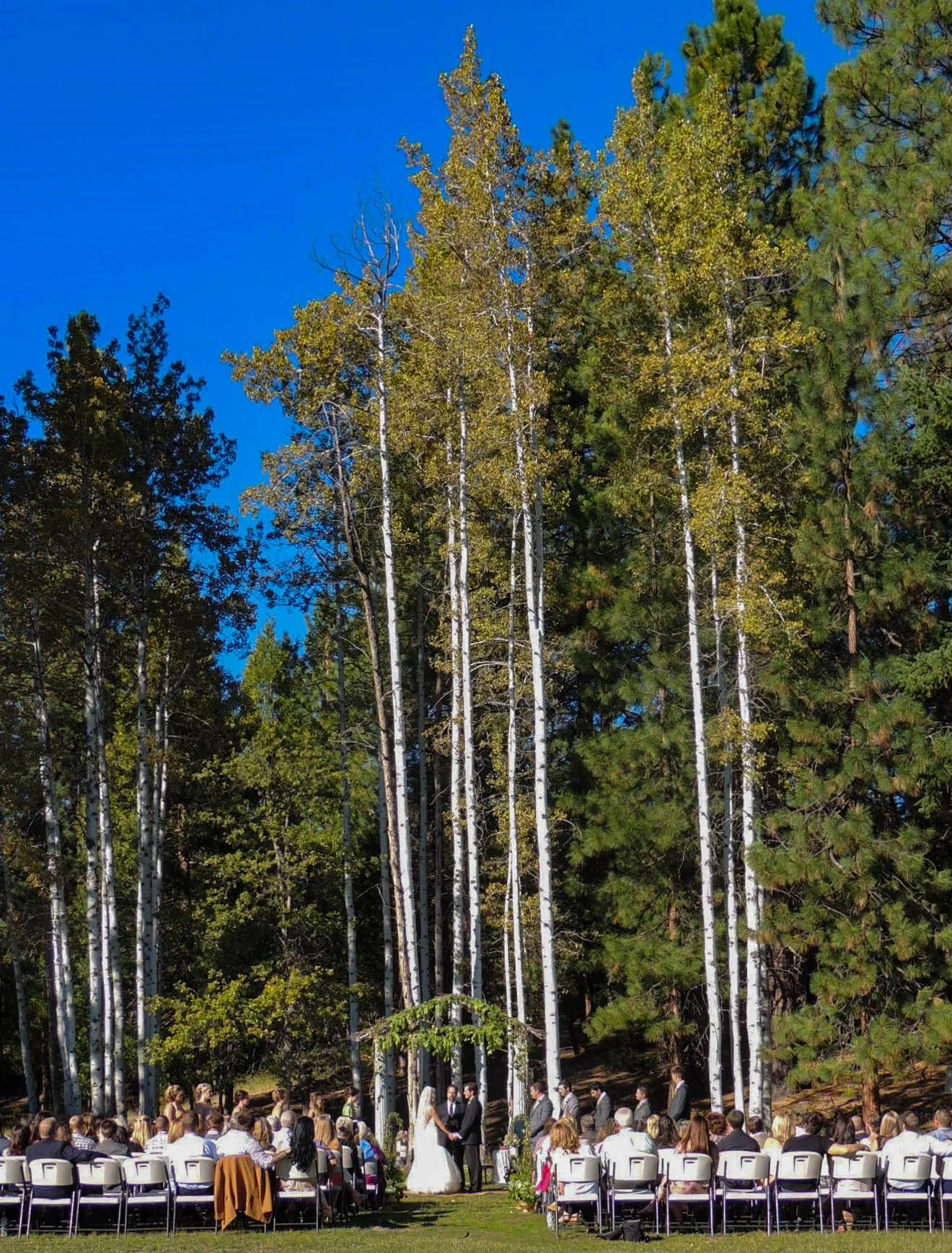 Wedding - Outdoor - Aspen Meadow.jpg