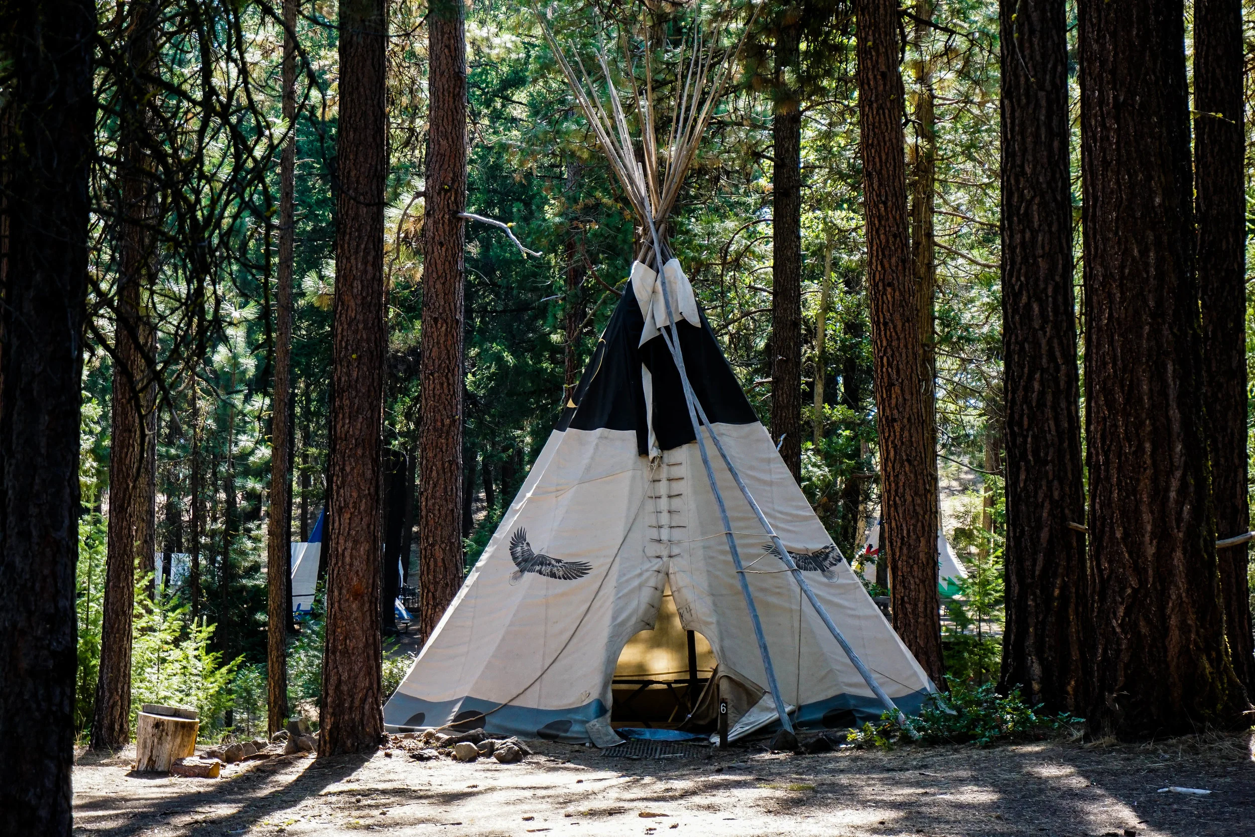 Tipi