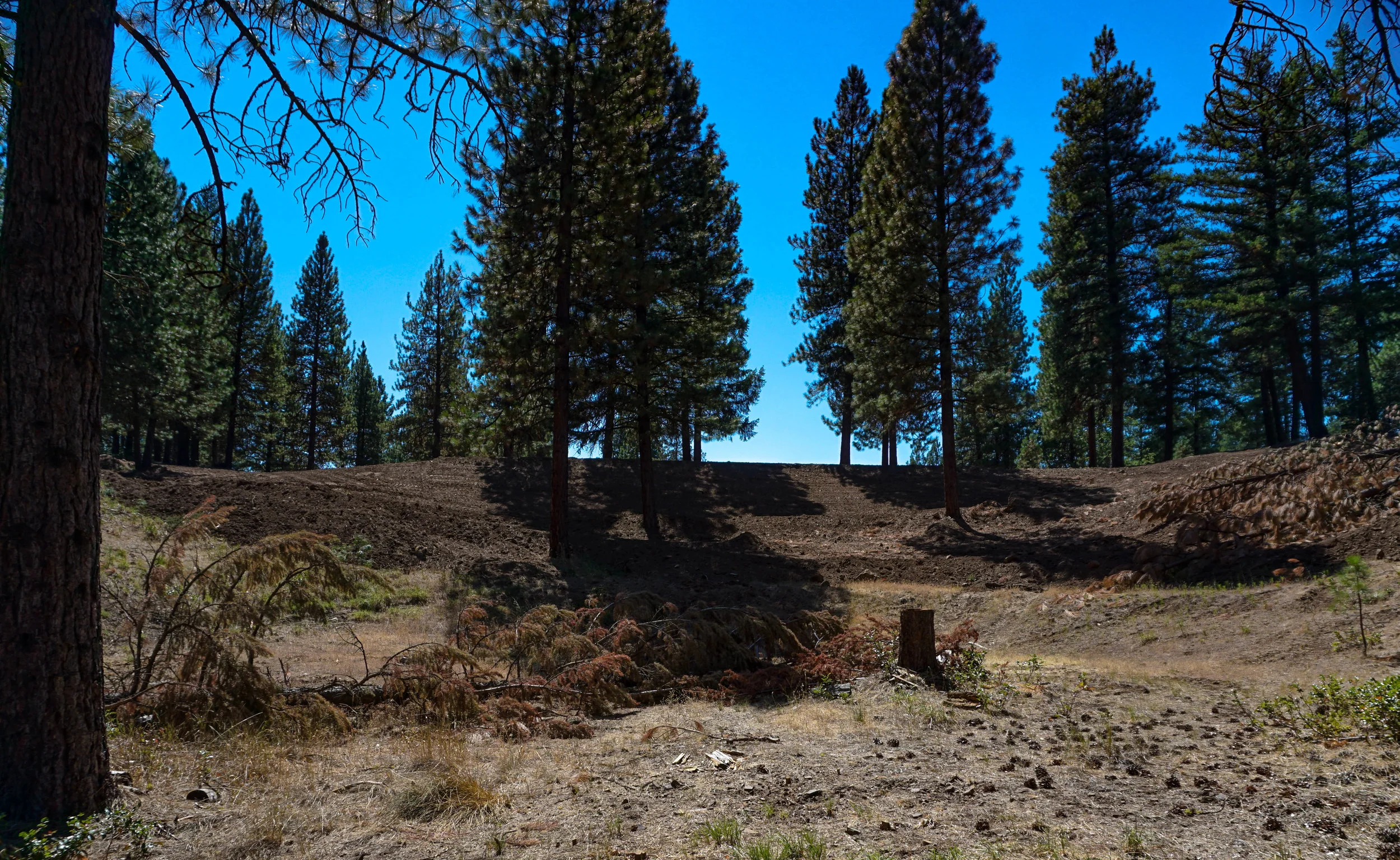 Future Amphitherater Site