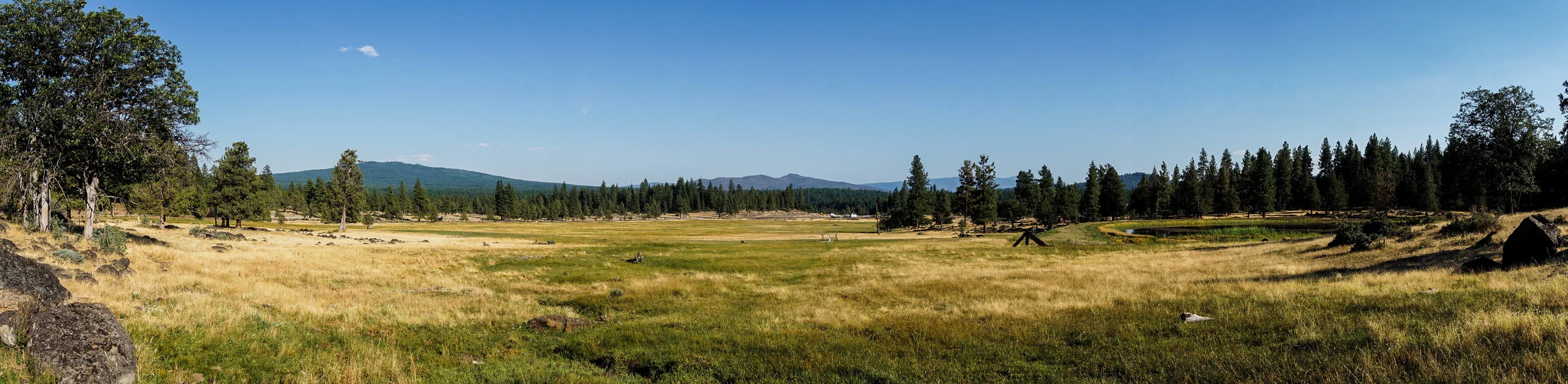 Meadow Panorama