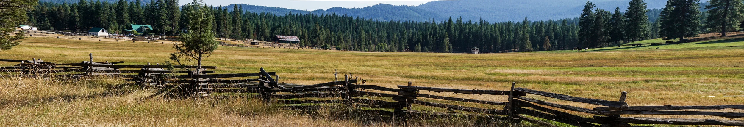 Fence Panorama