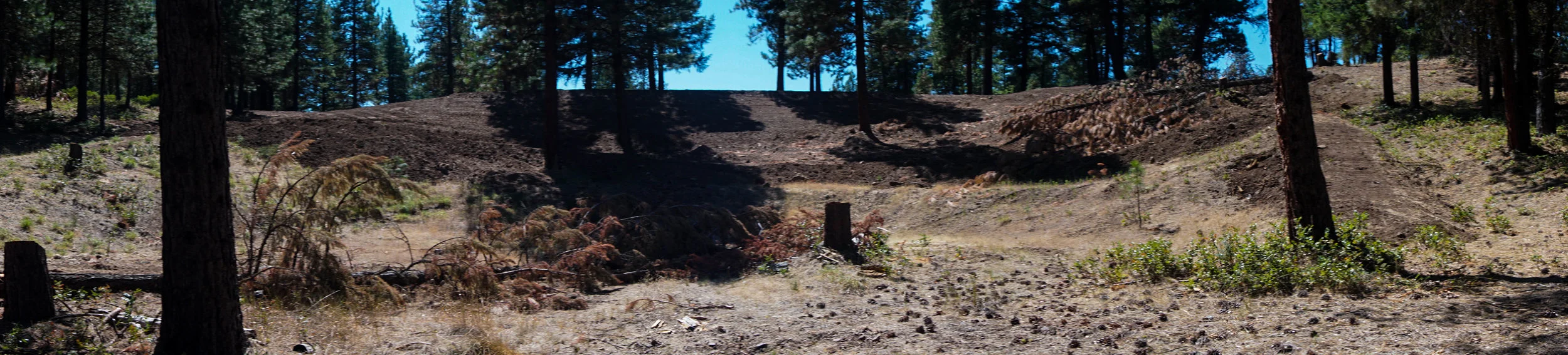 Future Amphitheater Site