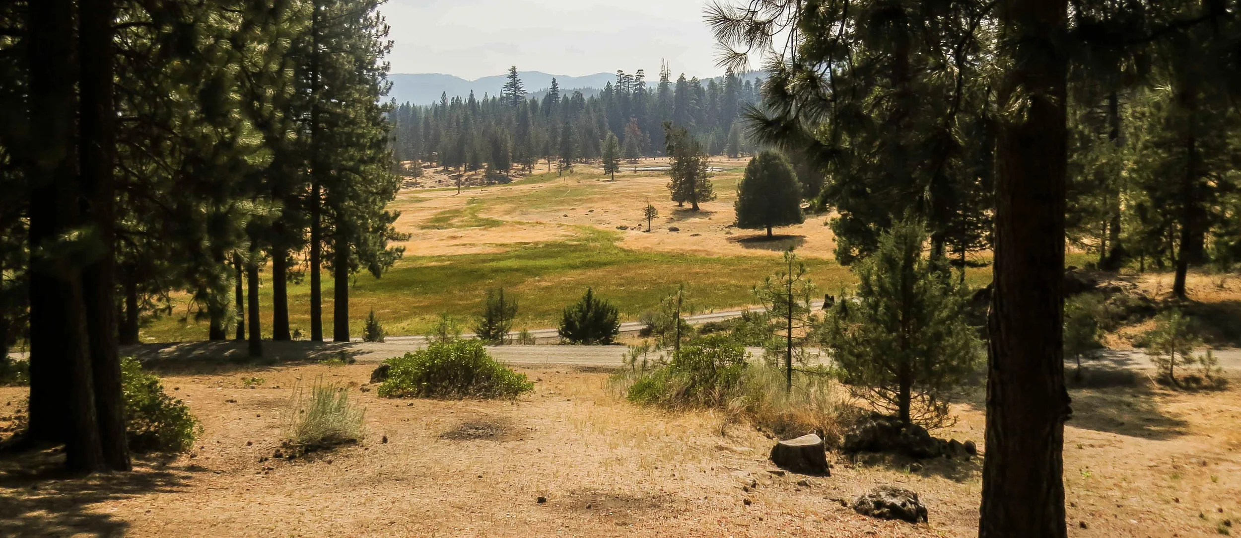 View From Shasta Cabin Porch