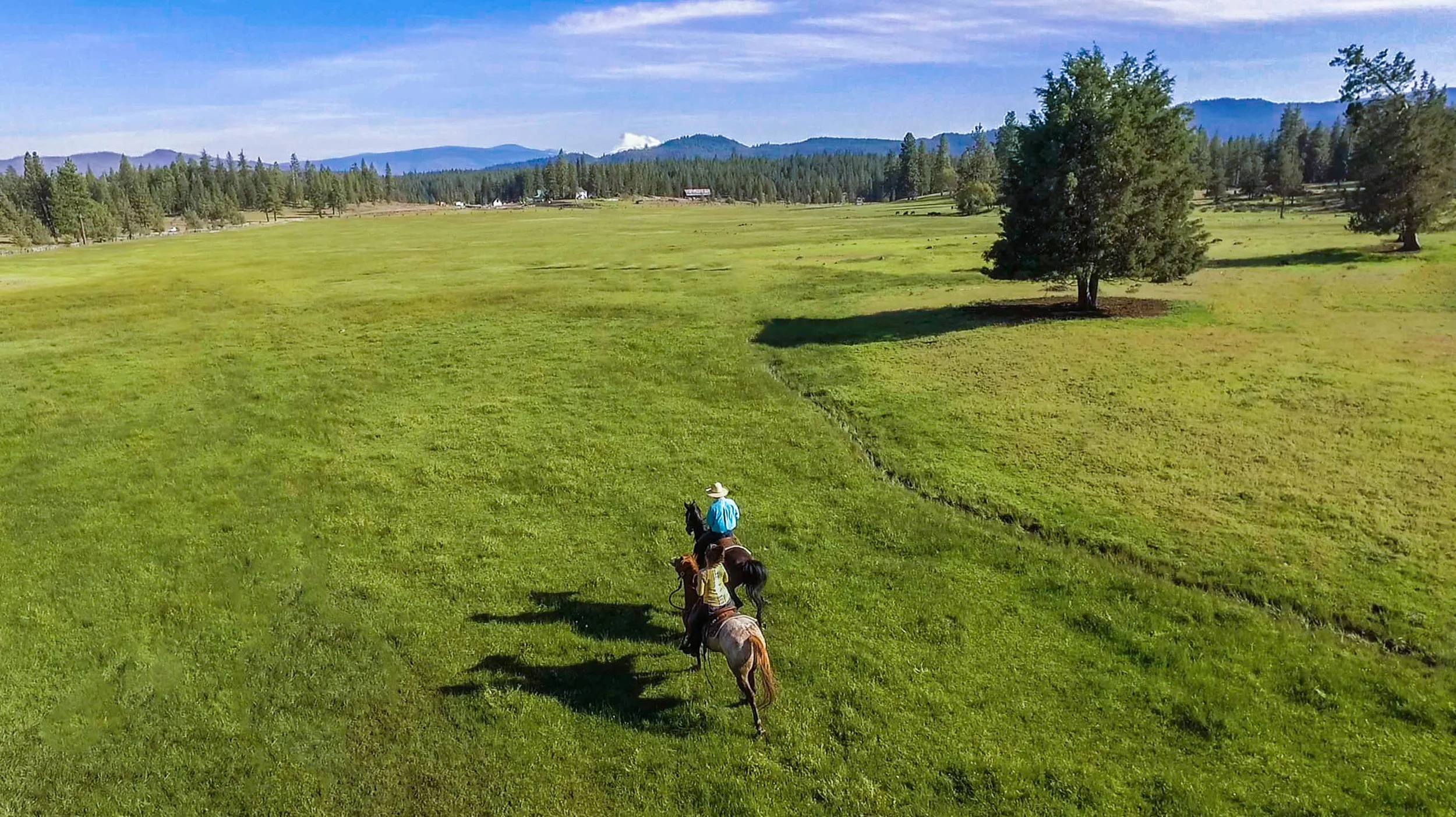 Horseback Riding Through Meadow