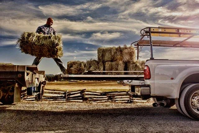 Ranch Manager Jesse Transporting Hay