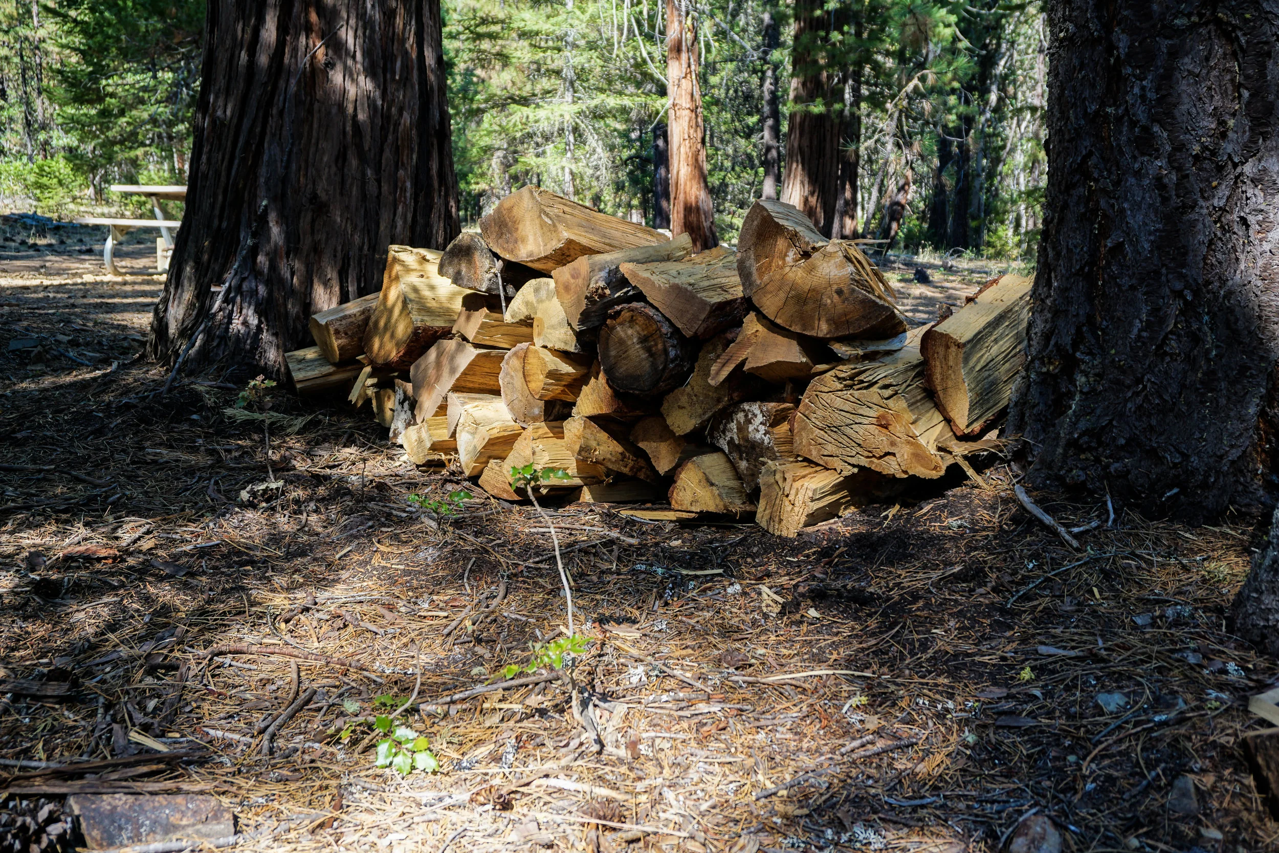 Complimentary Firewood