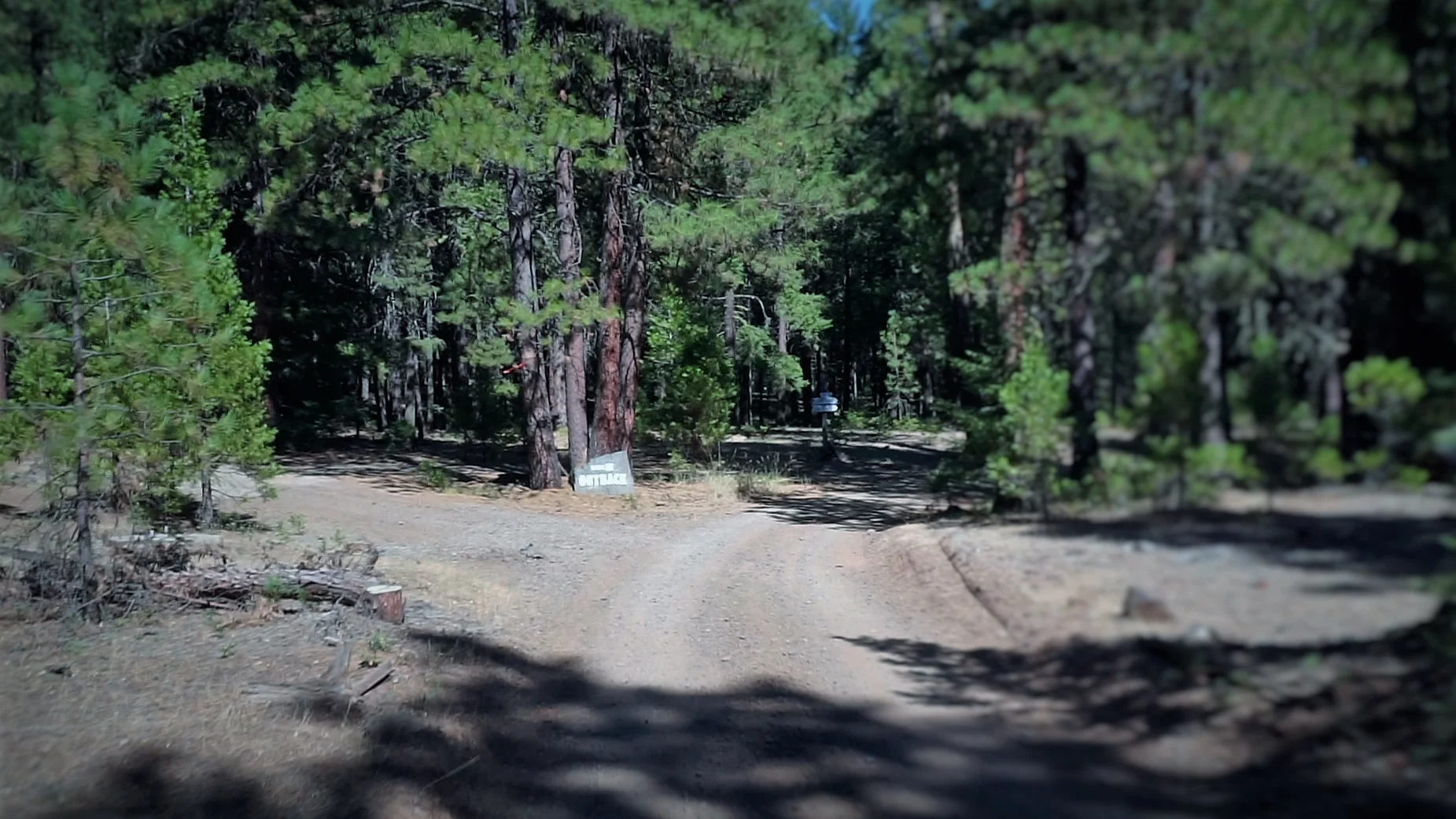 RoadToTrail.jpg