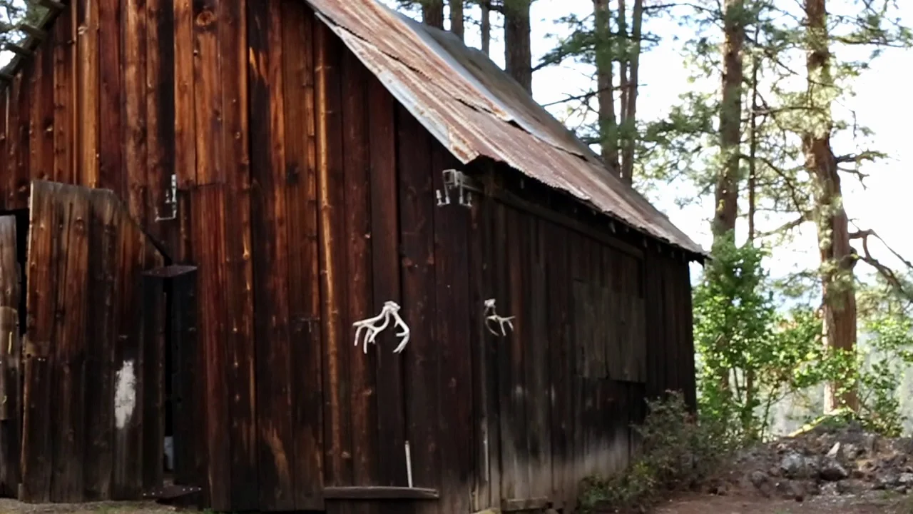 BarnwAntlers.jpg