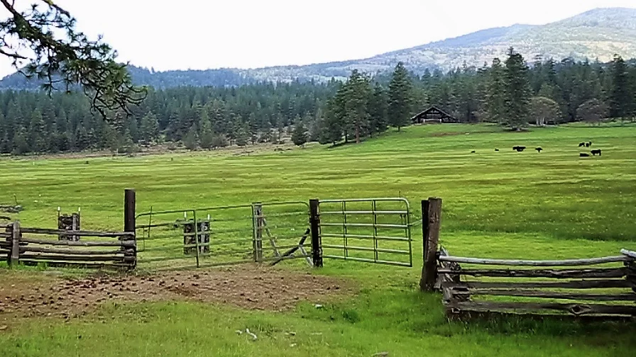 HorseBarn.jpg