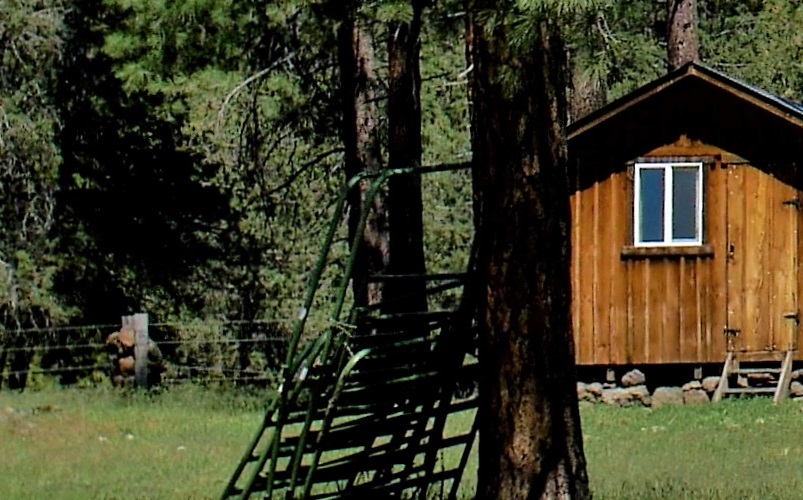 PrimitiveCabin1.jpg