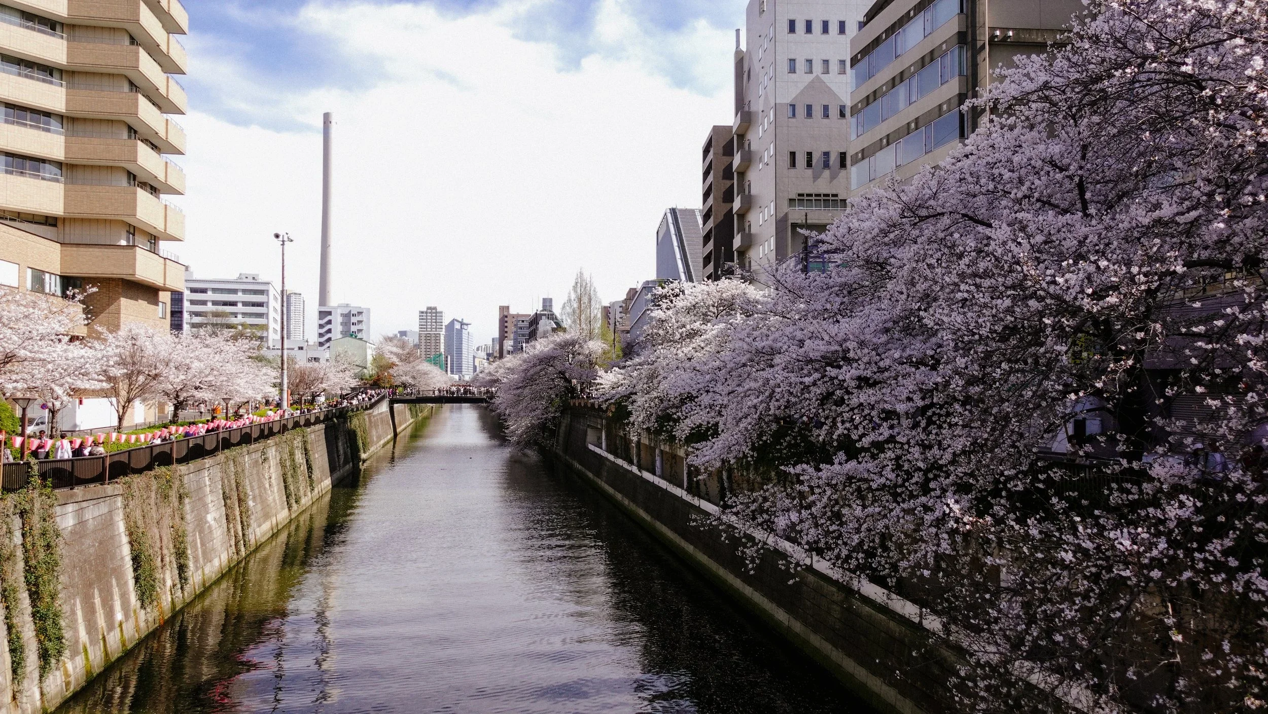 Japan - April 2024