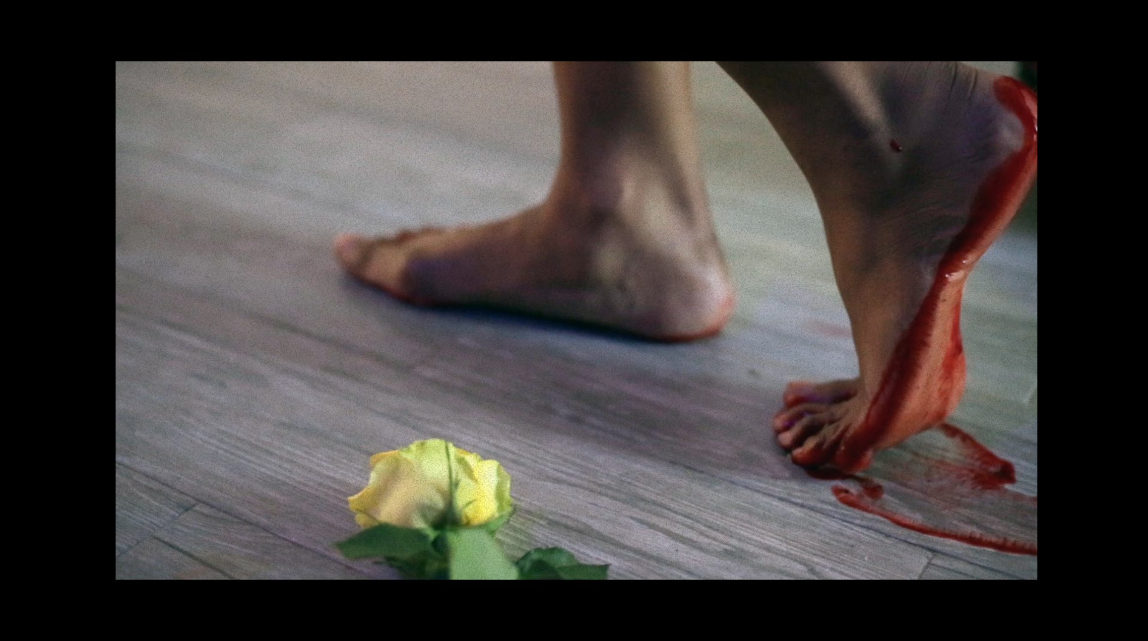 Screen Shot 2019-08-15 at 5.41.20 PM.png