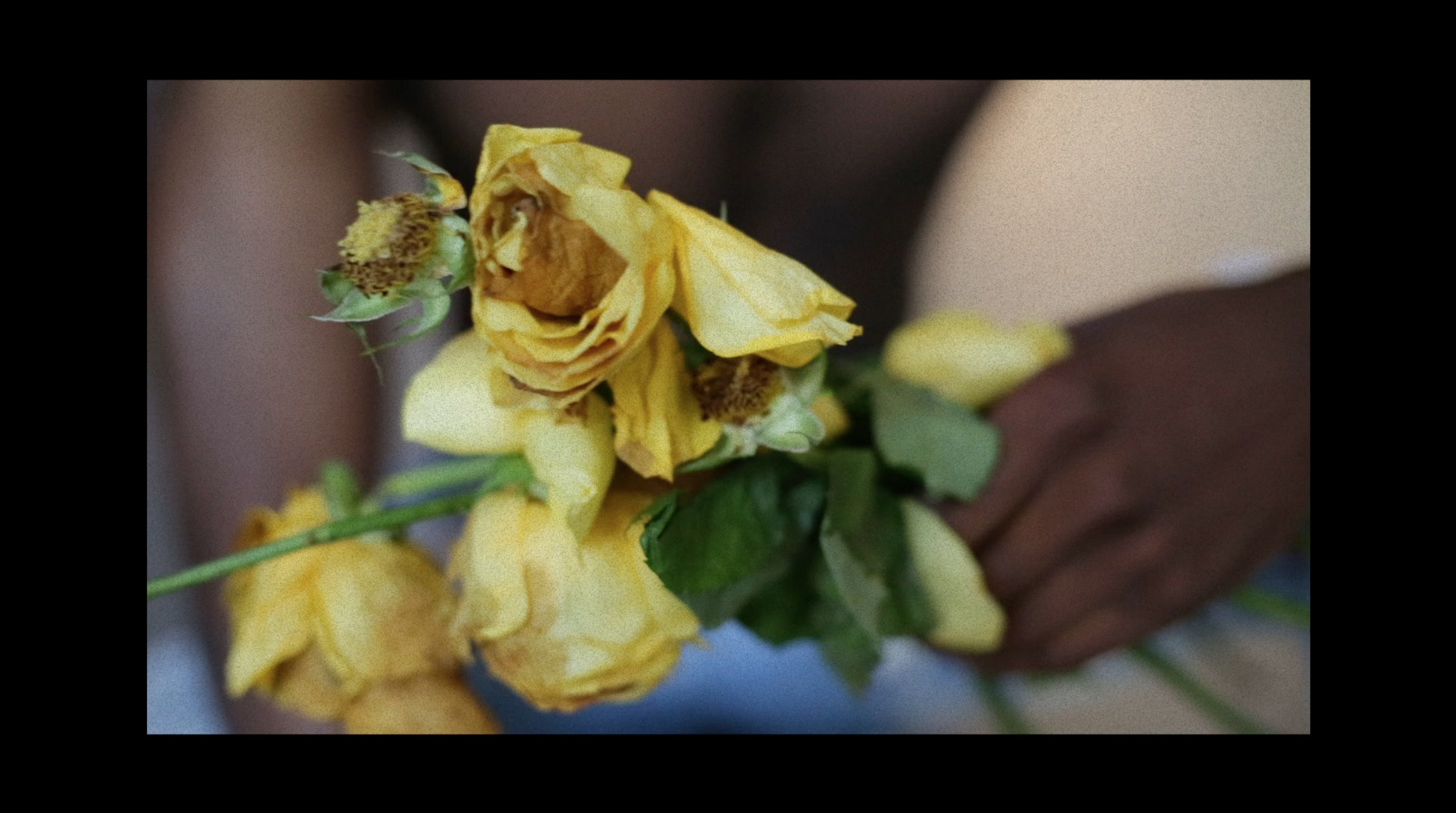 Screen Shot 2019-08-15 at 5.41.37 PM.png