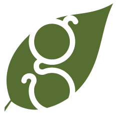 GEORGE SU DESIGNS
