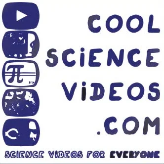 COOL SCIENCE VIDEOS: A WEBSITE FOR SHARING SCIENCE VIDEOS