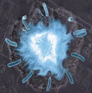 THE SUPERNOVA & BLINKING BACTERIA