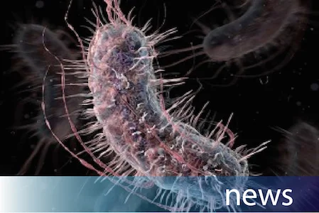 our lab in the news