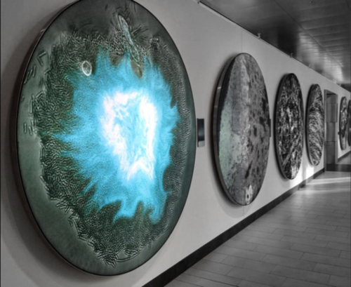 Supernova image at the Koch Institute Gallery, 2014