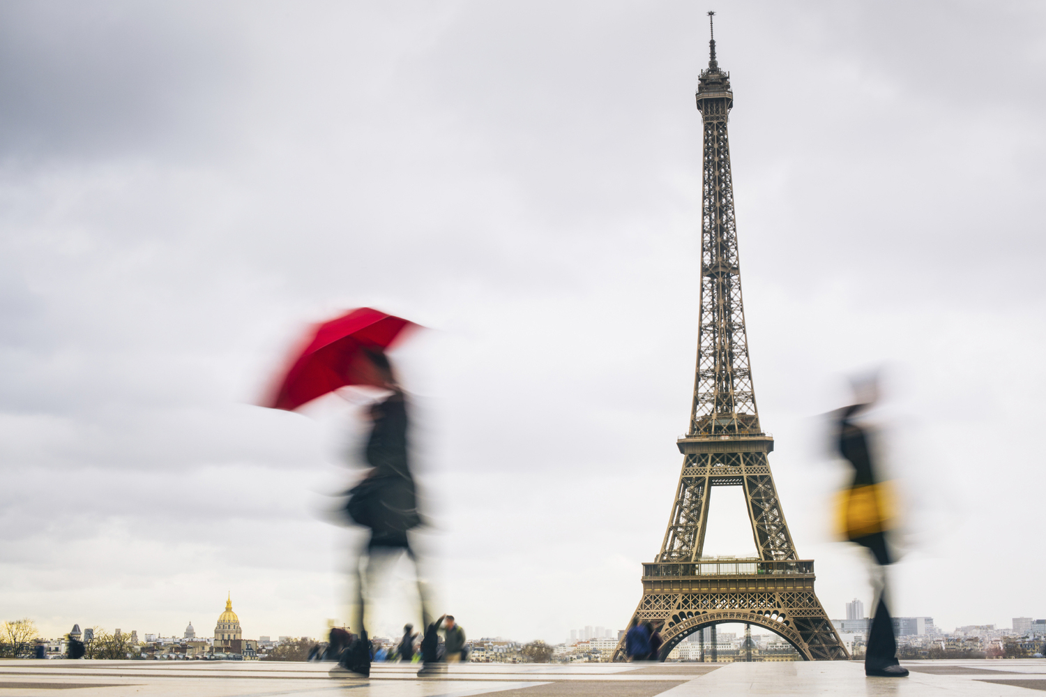 iStock_000024283232Medium.jpg