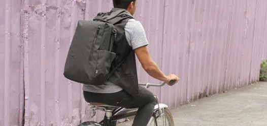 Pacsafe Backpack