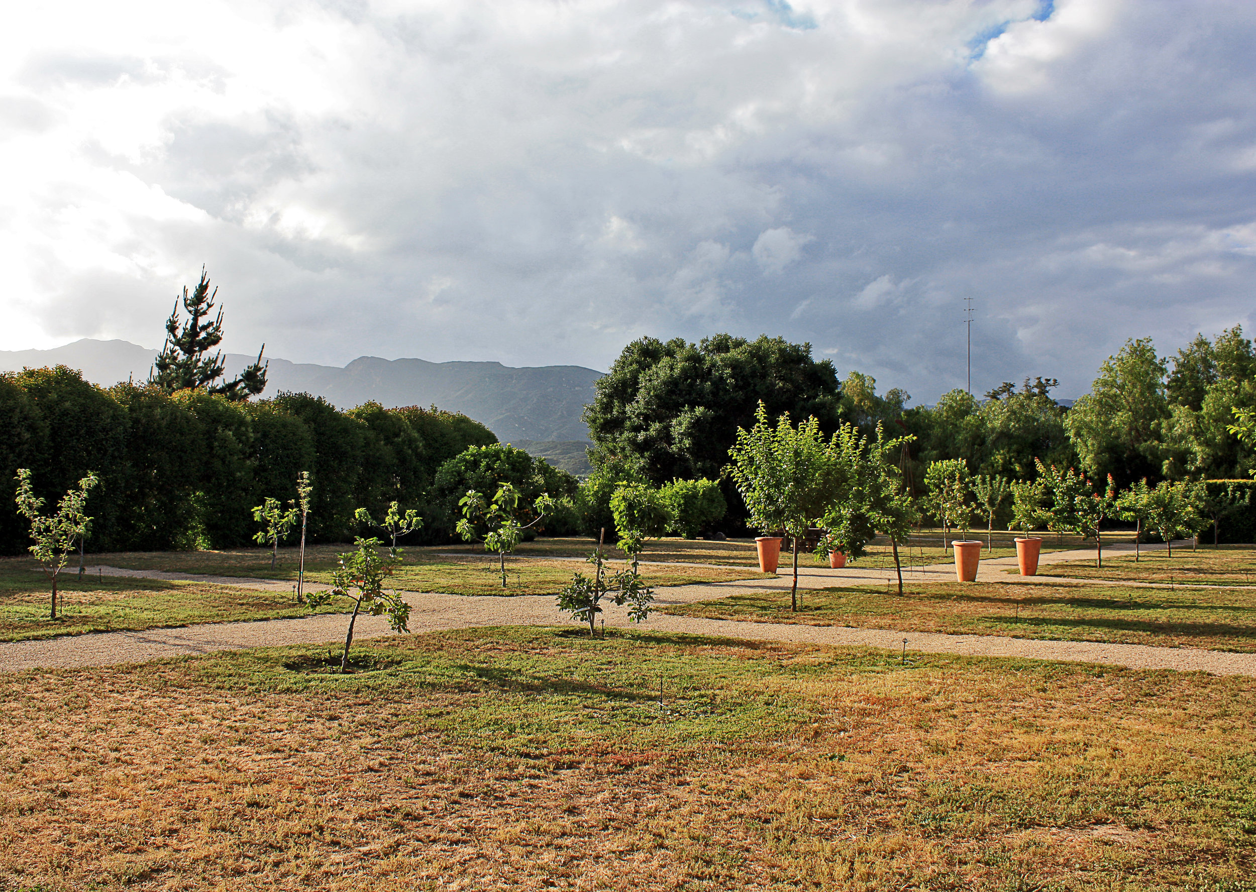 03.jpg