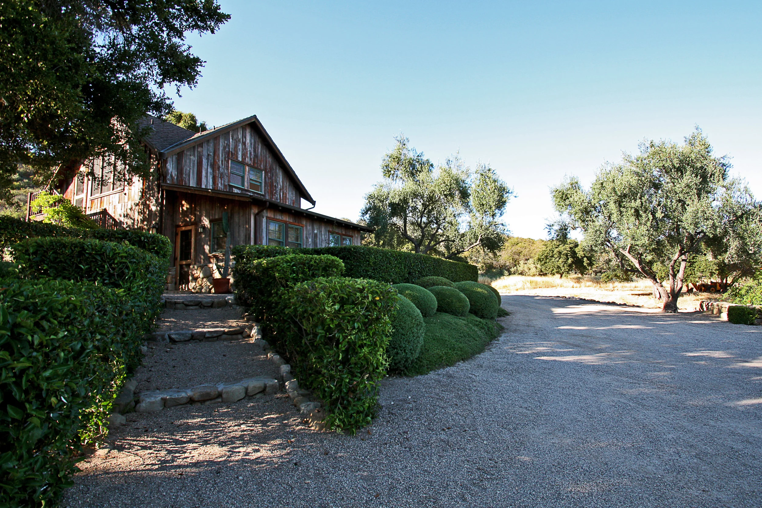 06.jpg