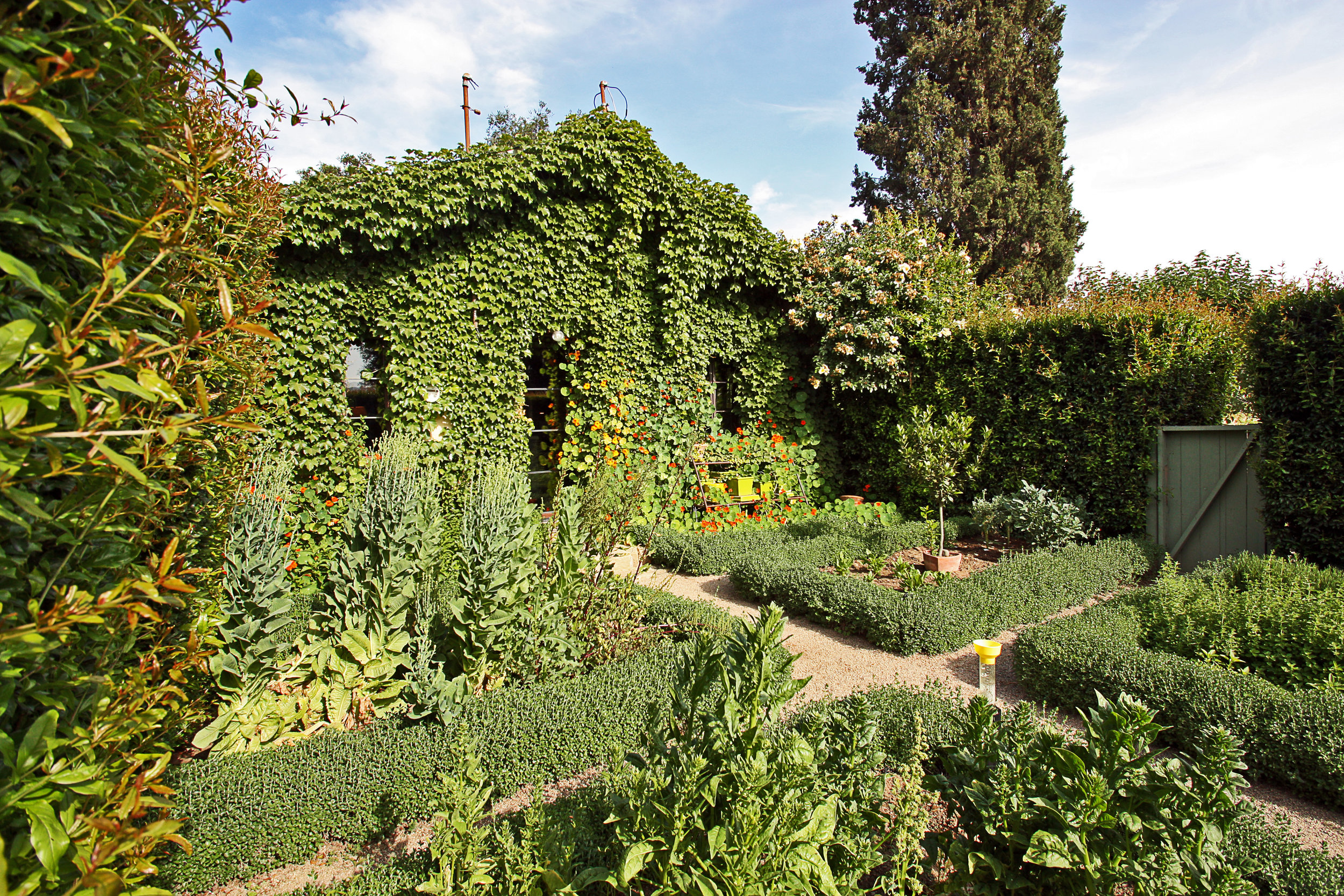 garden.jpg