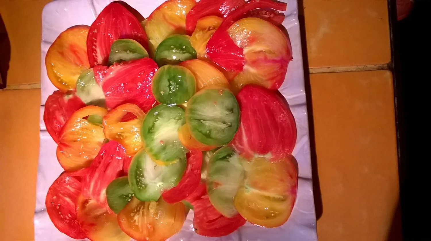 WP_20150805_001.jpg