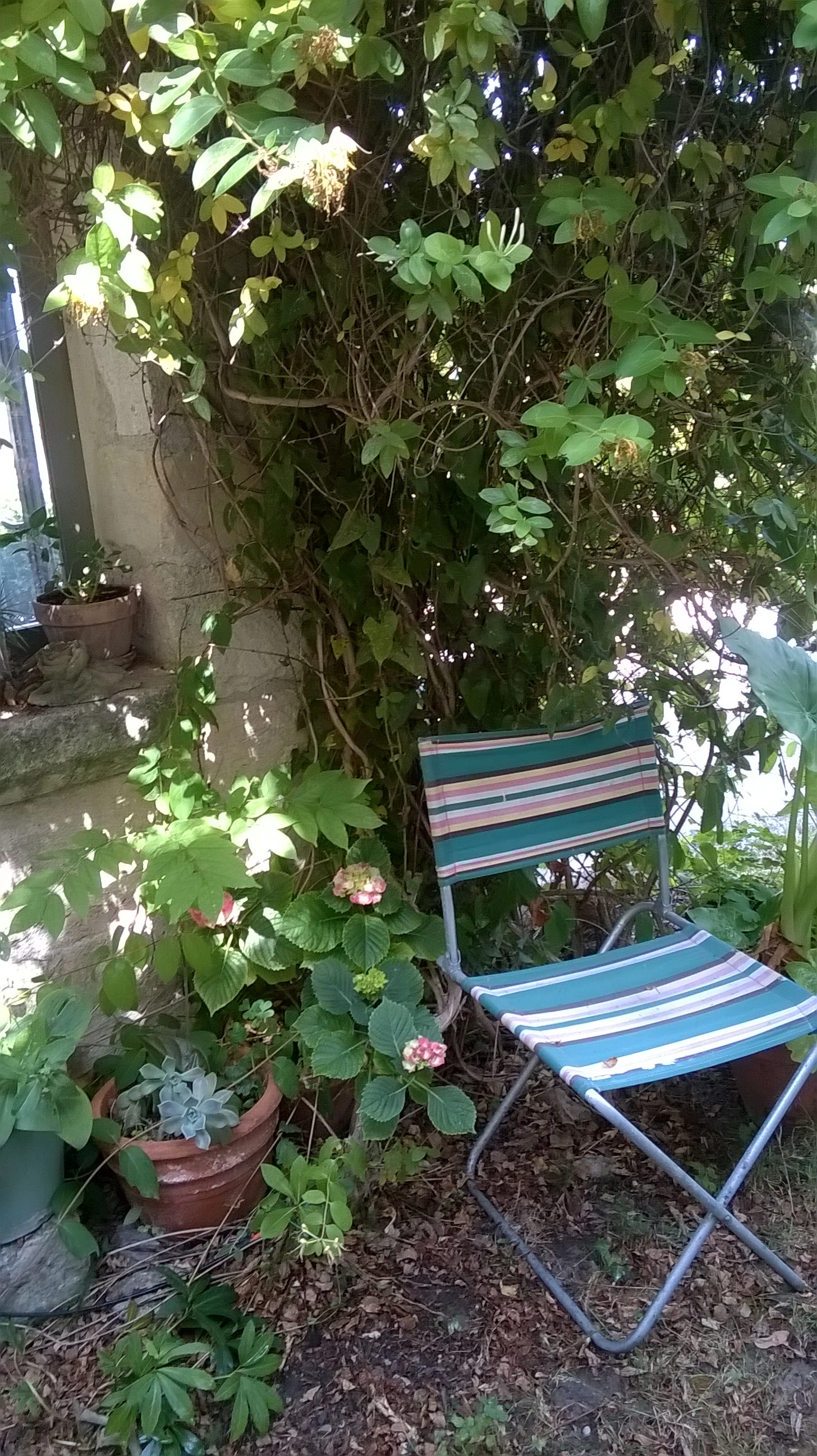 WP_20150601_008.jpg