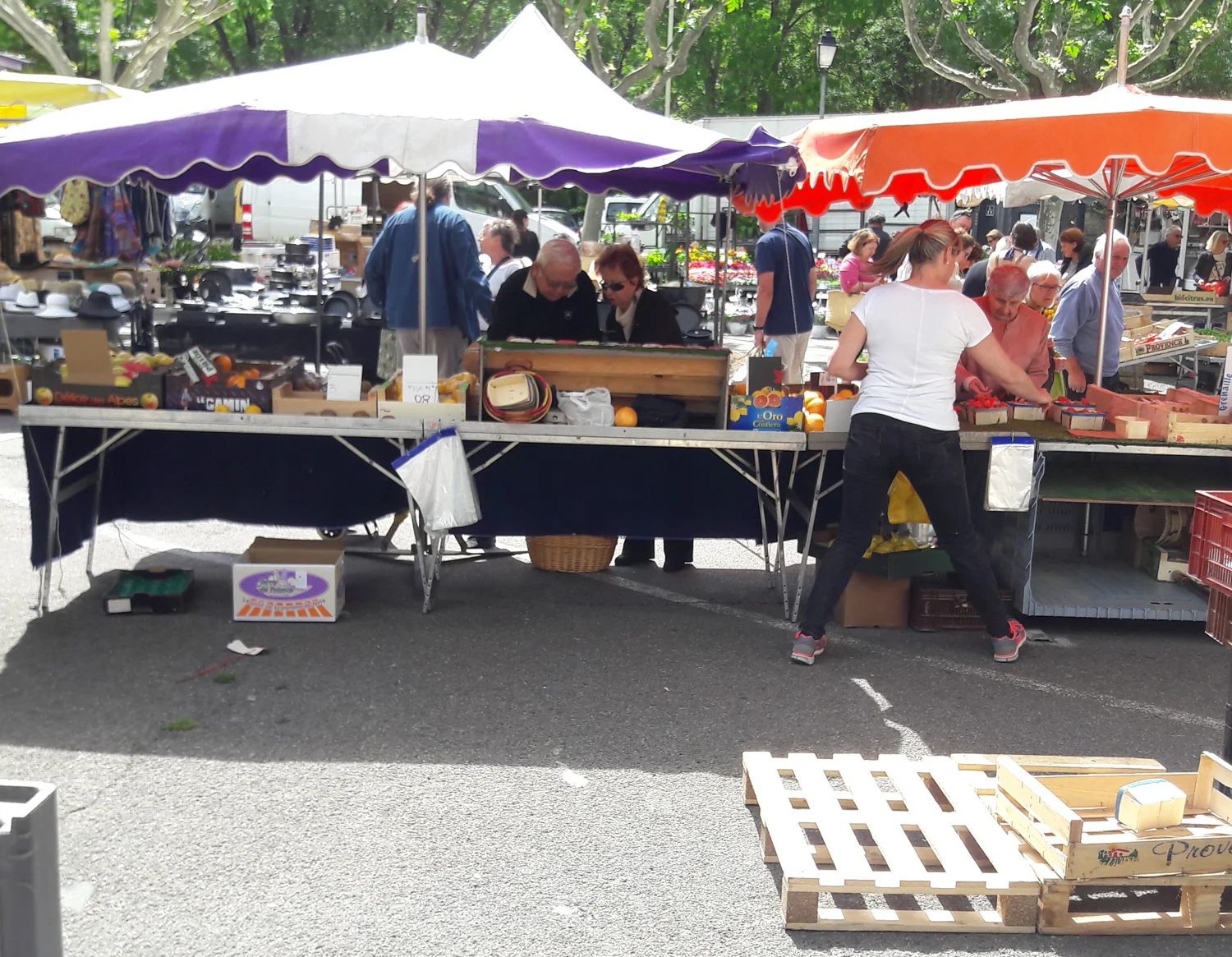20160519_113811_modifié-1.jpg