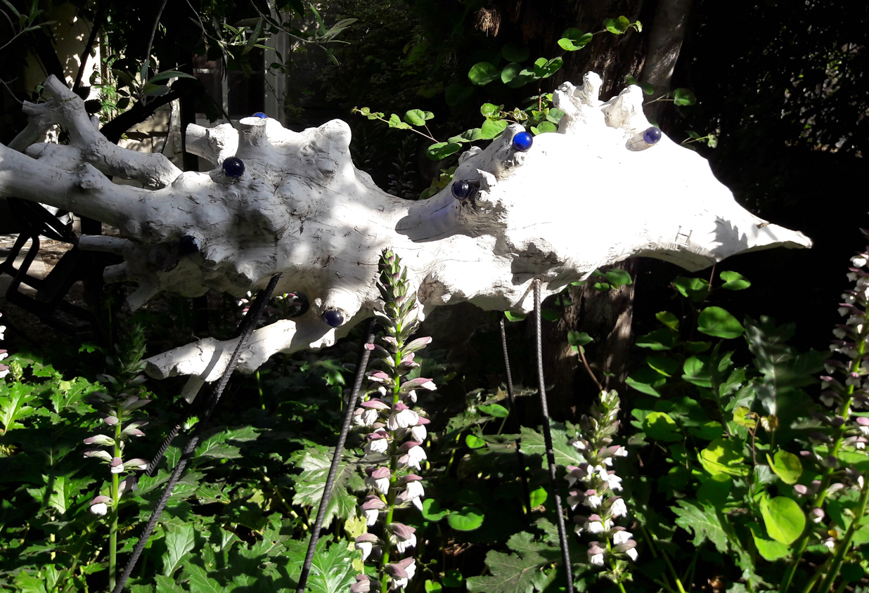 20160525_094620_modifié-1.jpg