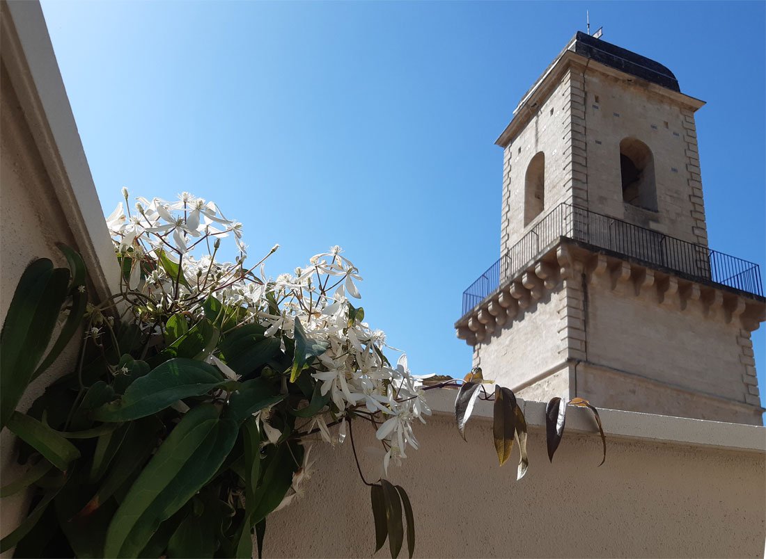   Im Februar die blühende Klematis.     Blick auf den Glockenturm (keine Glocke mehr) der ehemaligen Kirche Sainte-Anne, die heute ein Kulturzentrum ist.  