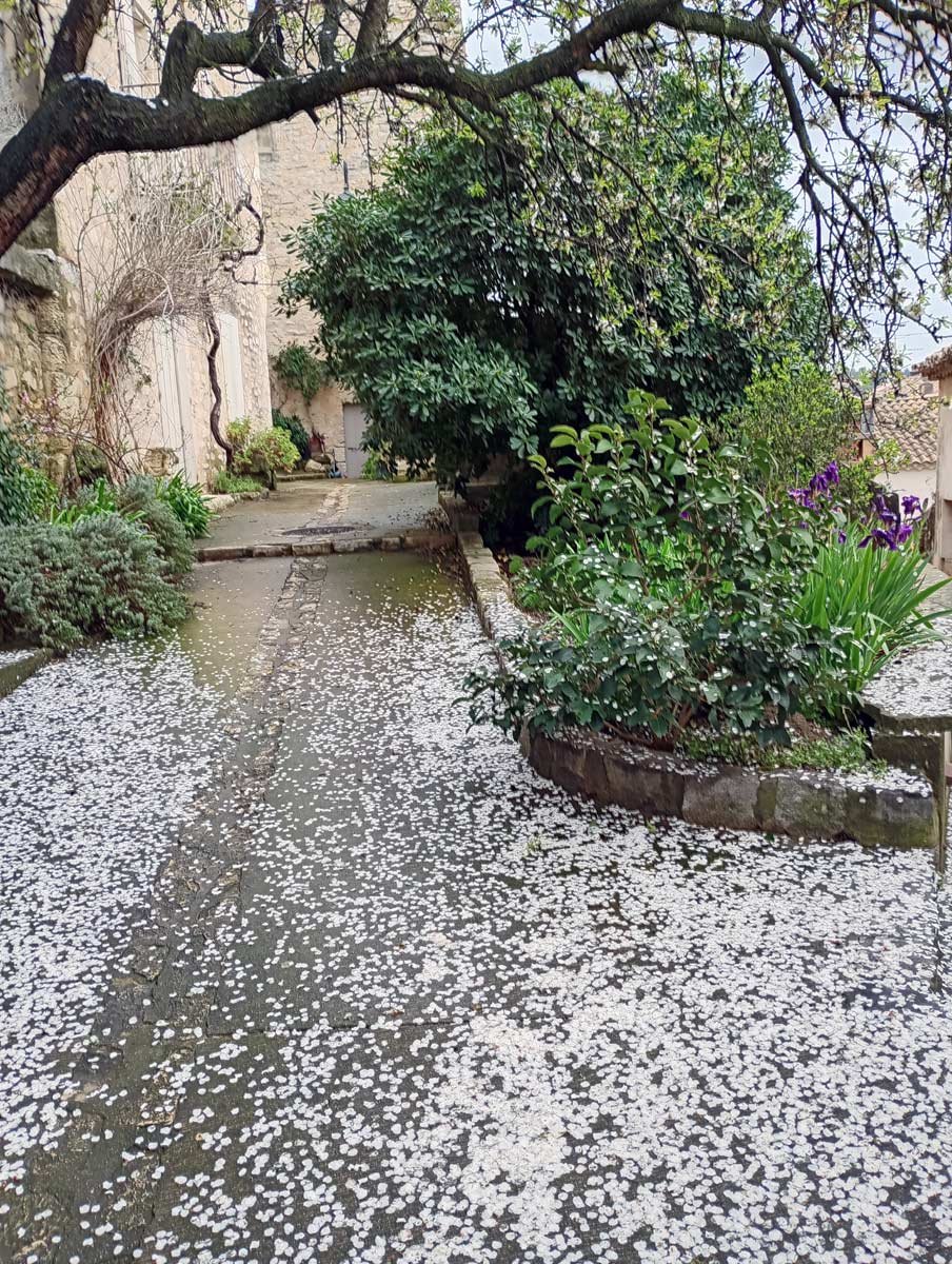 Das idyllische Umfeld für Ihren kreativen Urlaub in der Provence