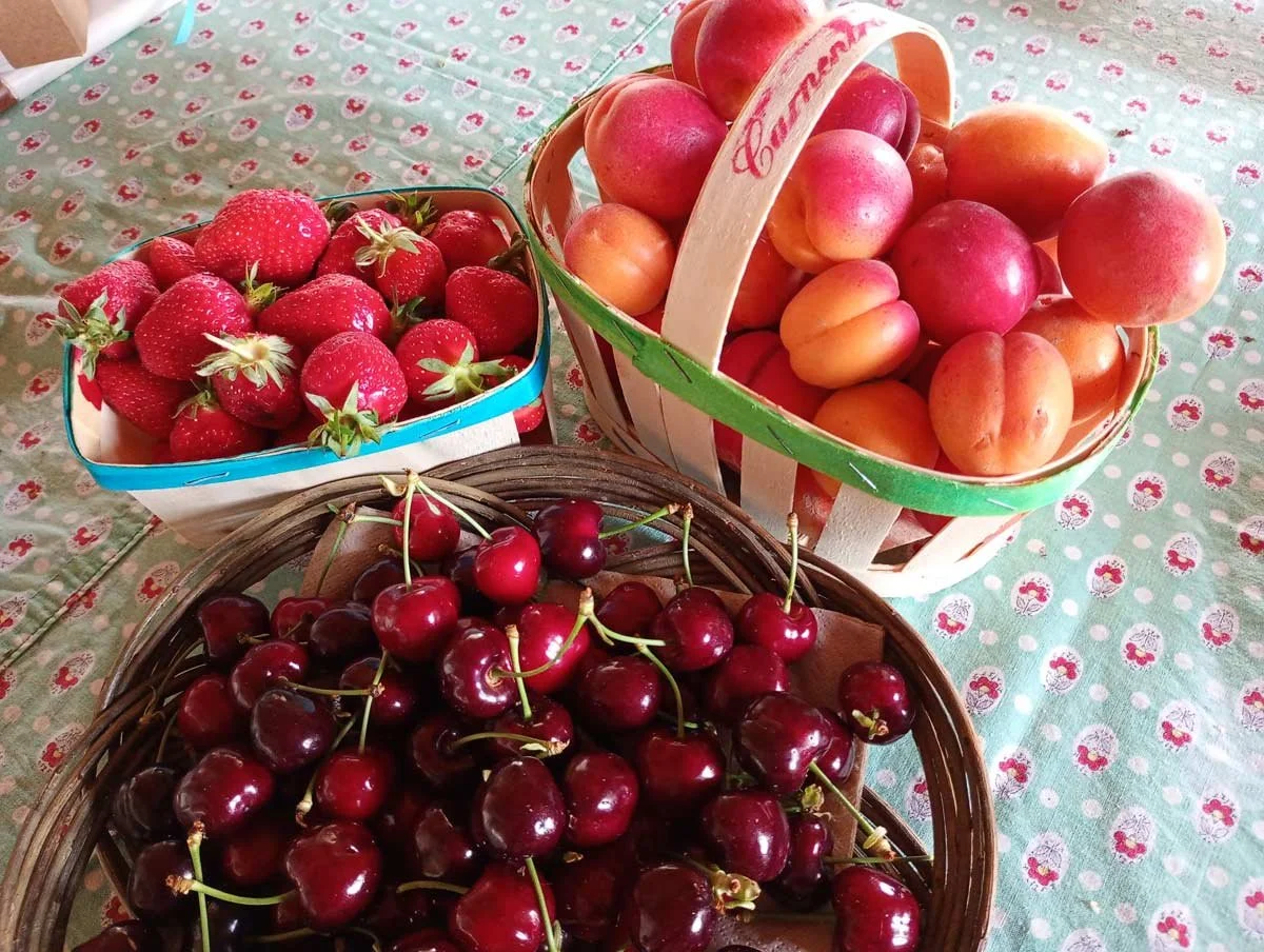 Genießen Sie die Früchte der Saison während eines kreativen und künstlerischen Aufenthalts in der Provence – perfekt für alle, die Inspiration und Entspannung suchen.