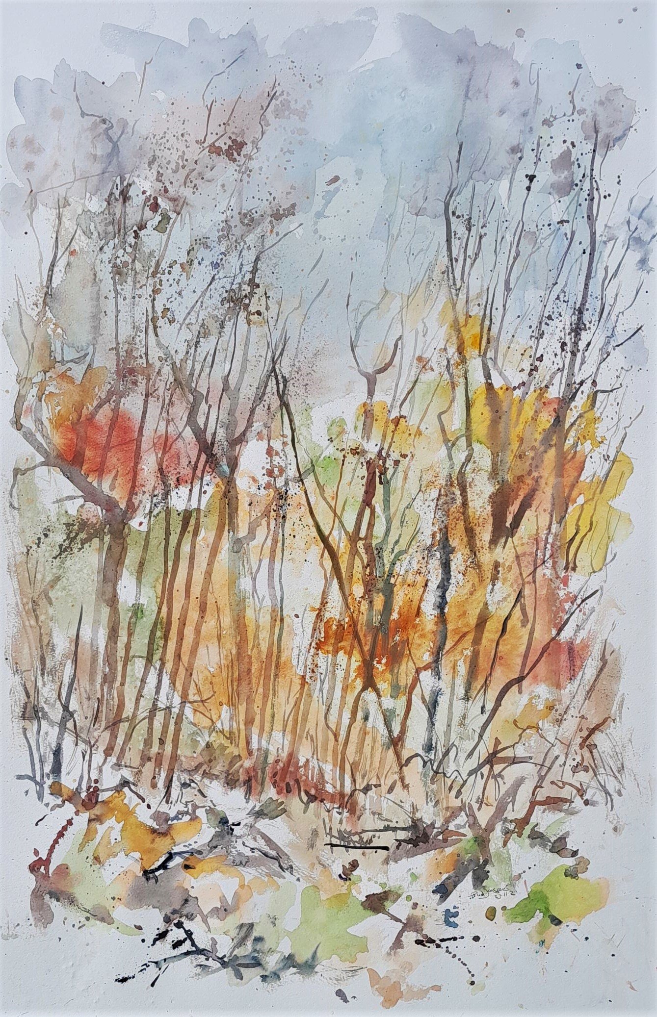 Chippenham woods, November