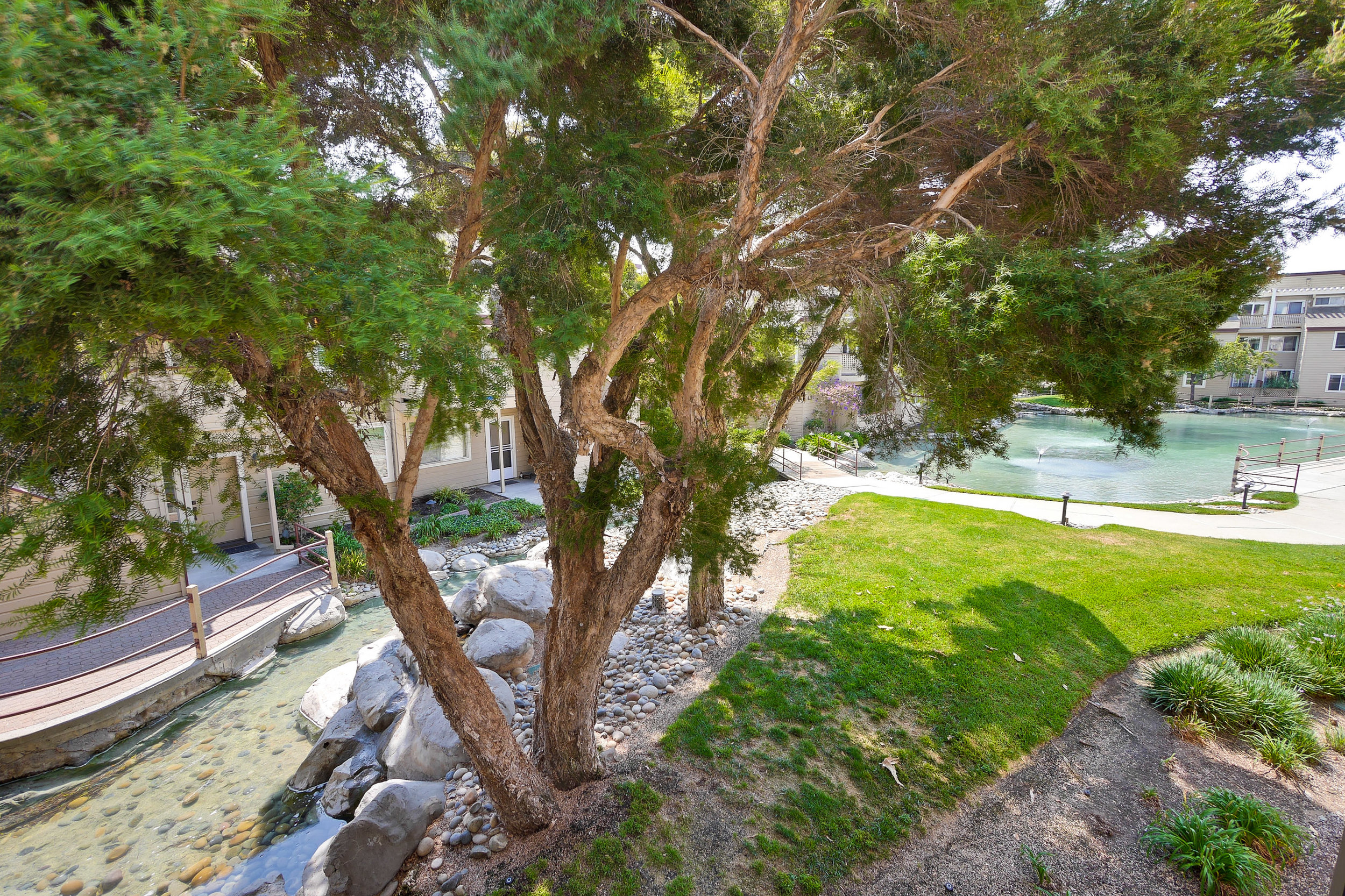 Balcony View 1.jpg