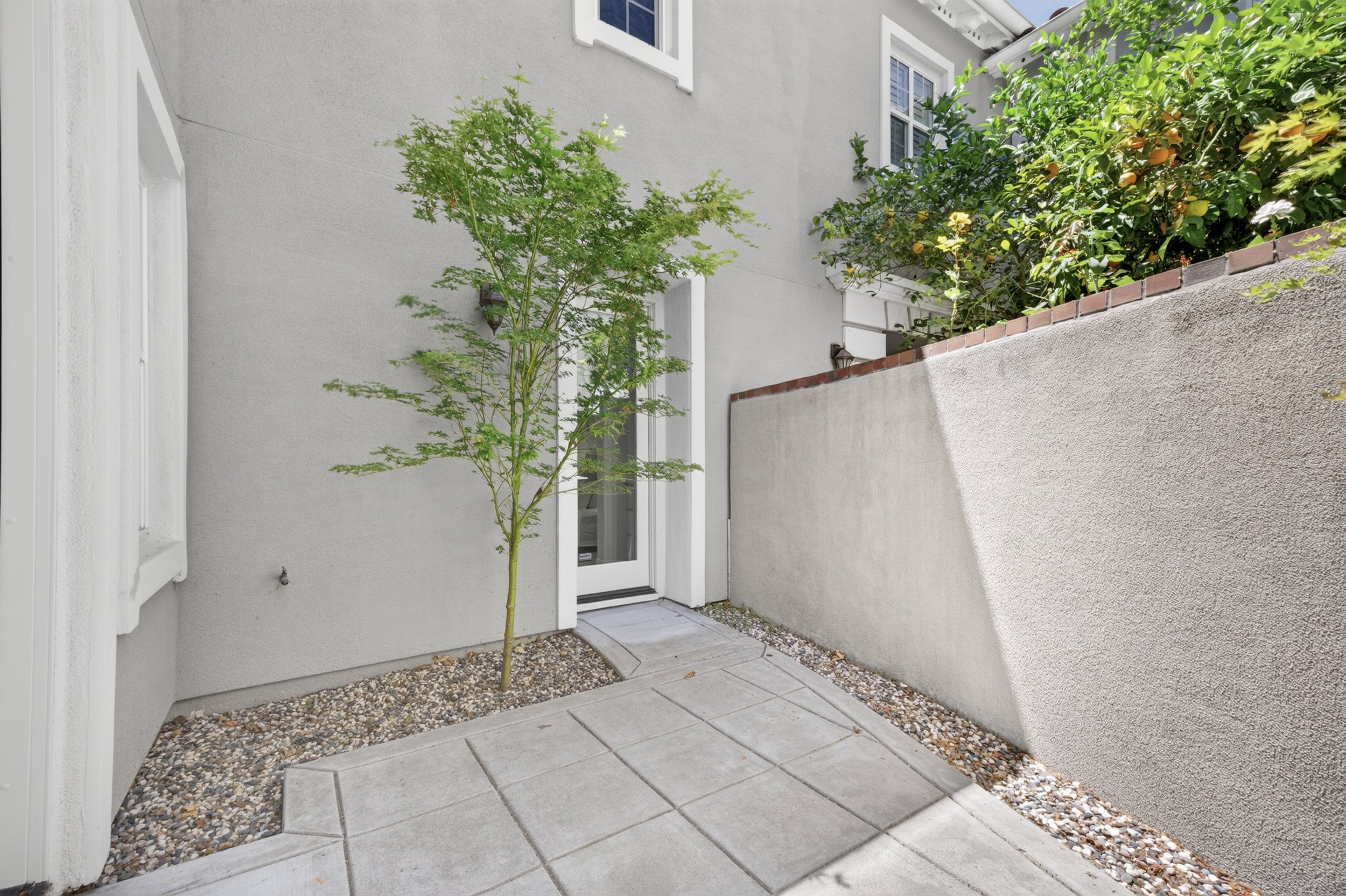 31 Side Yard.jpg